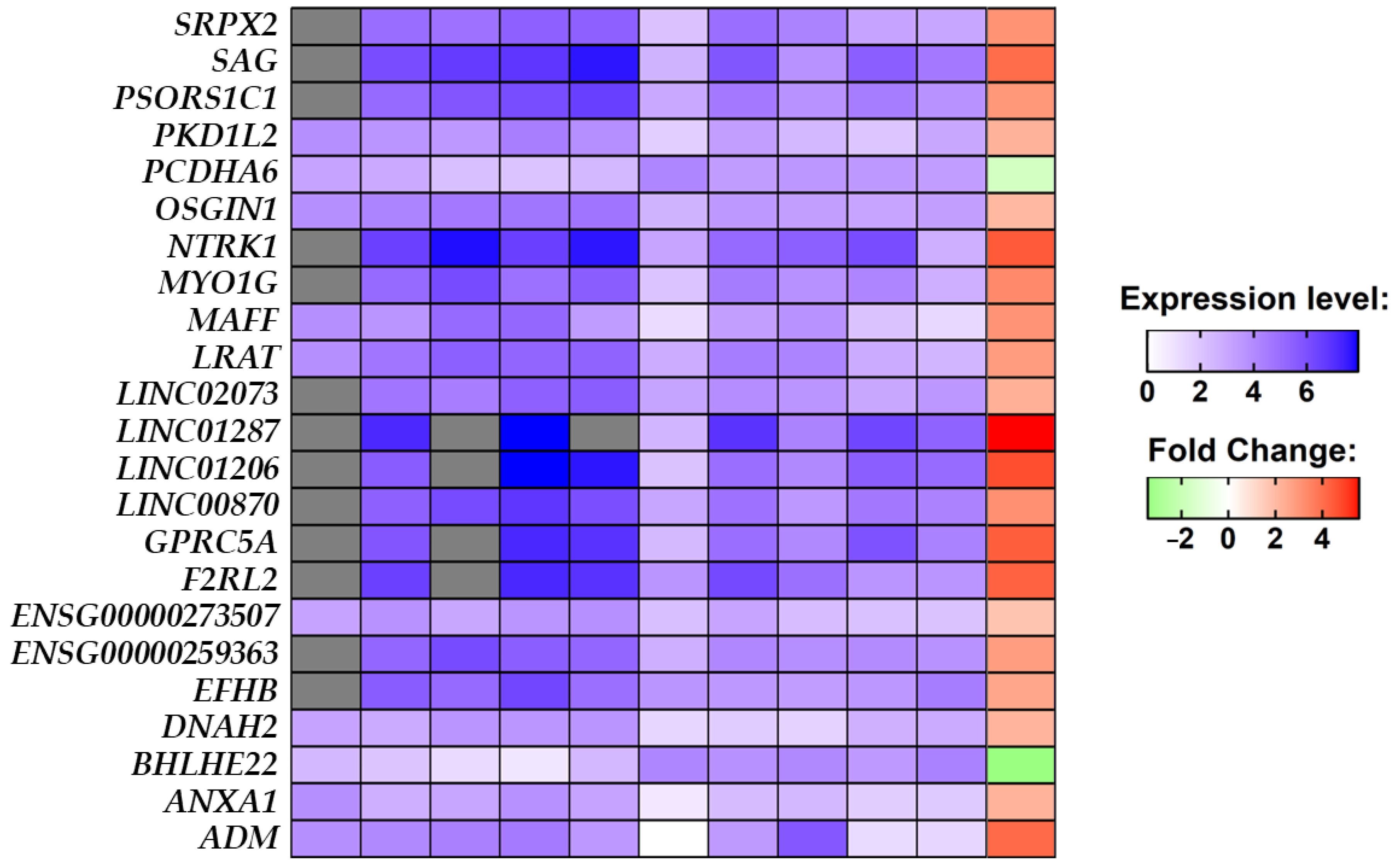 Brainsci 13 00986 g003 Brainsci 13 00986 g003