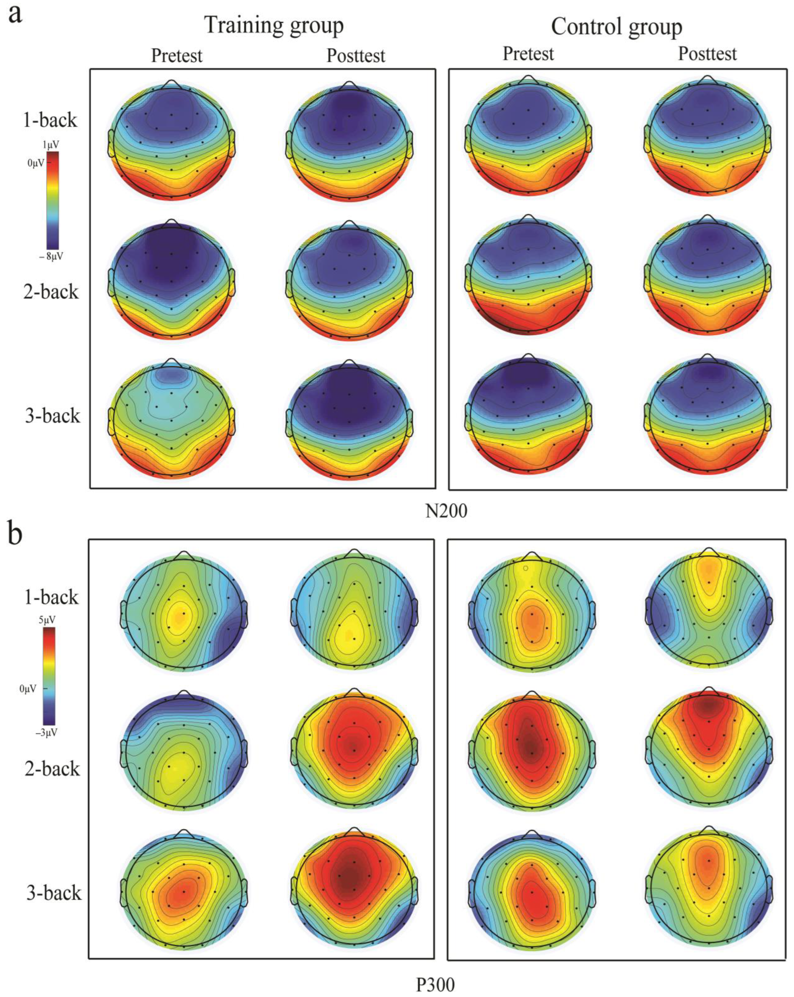 Brainsci 13 00992 g007