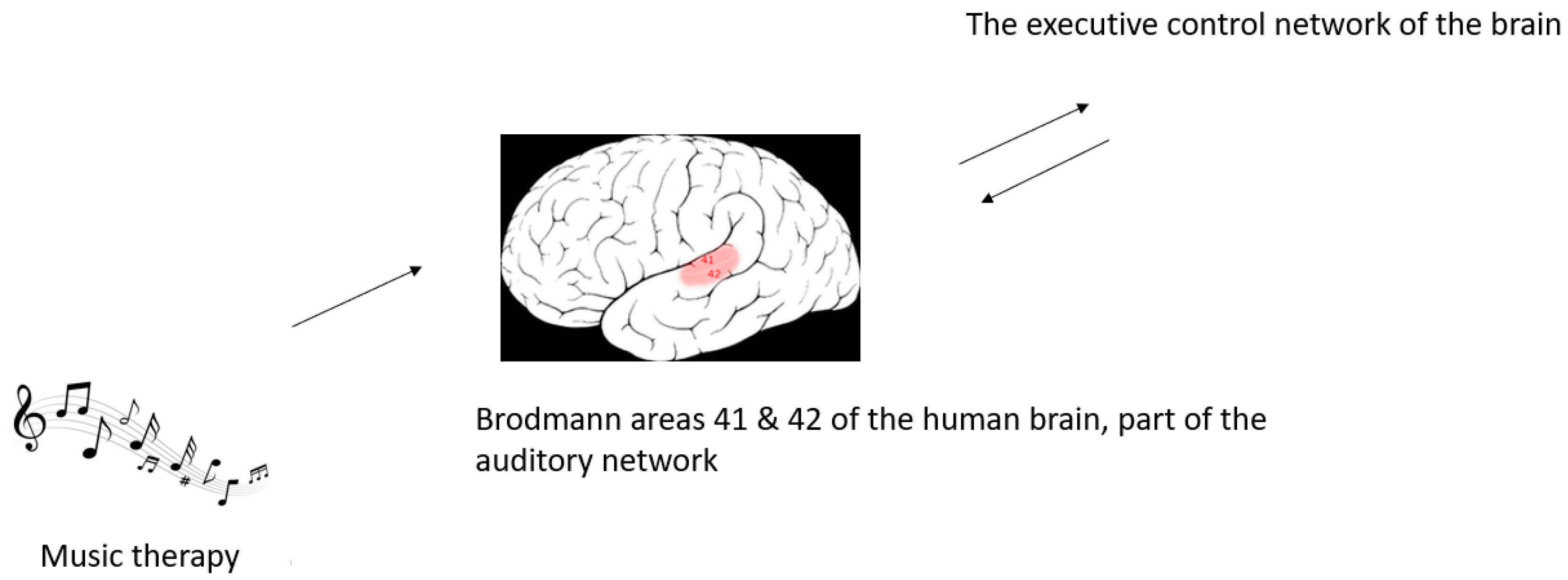 Brainsci 13 00993 g001