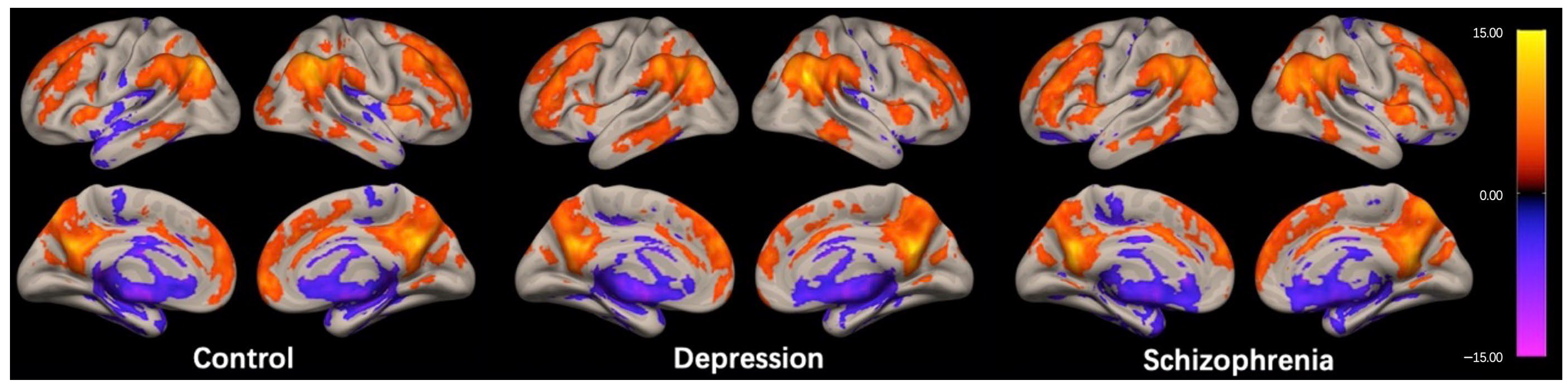 Brainsci 13 00997 g001