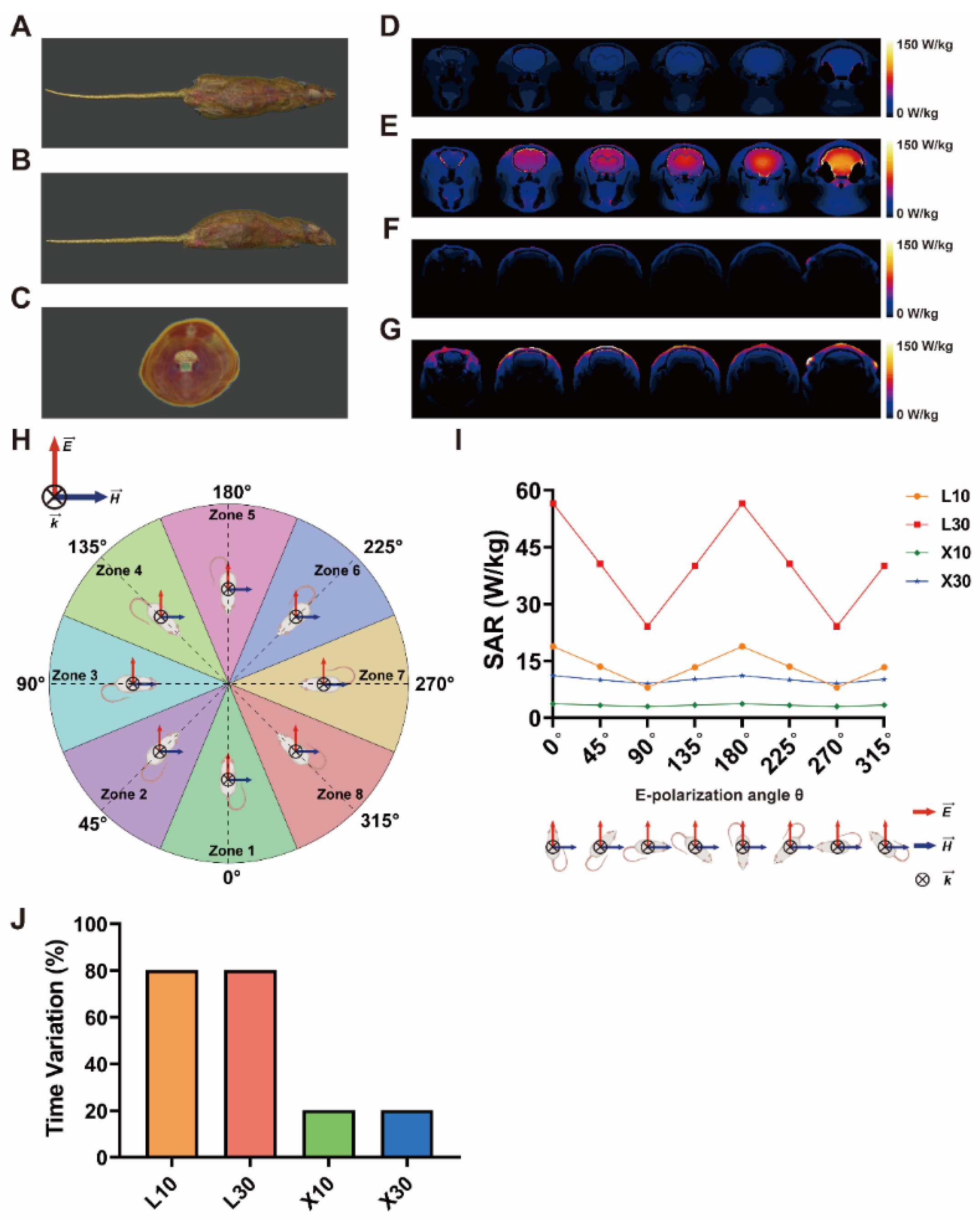 Brainsci 13 01006 g002