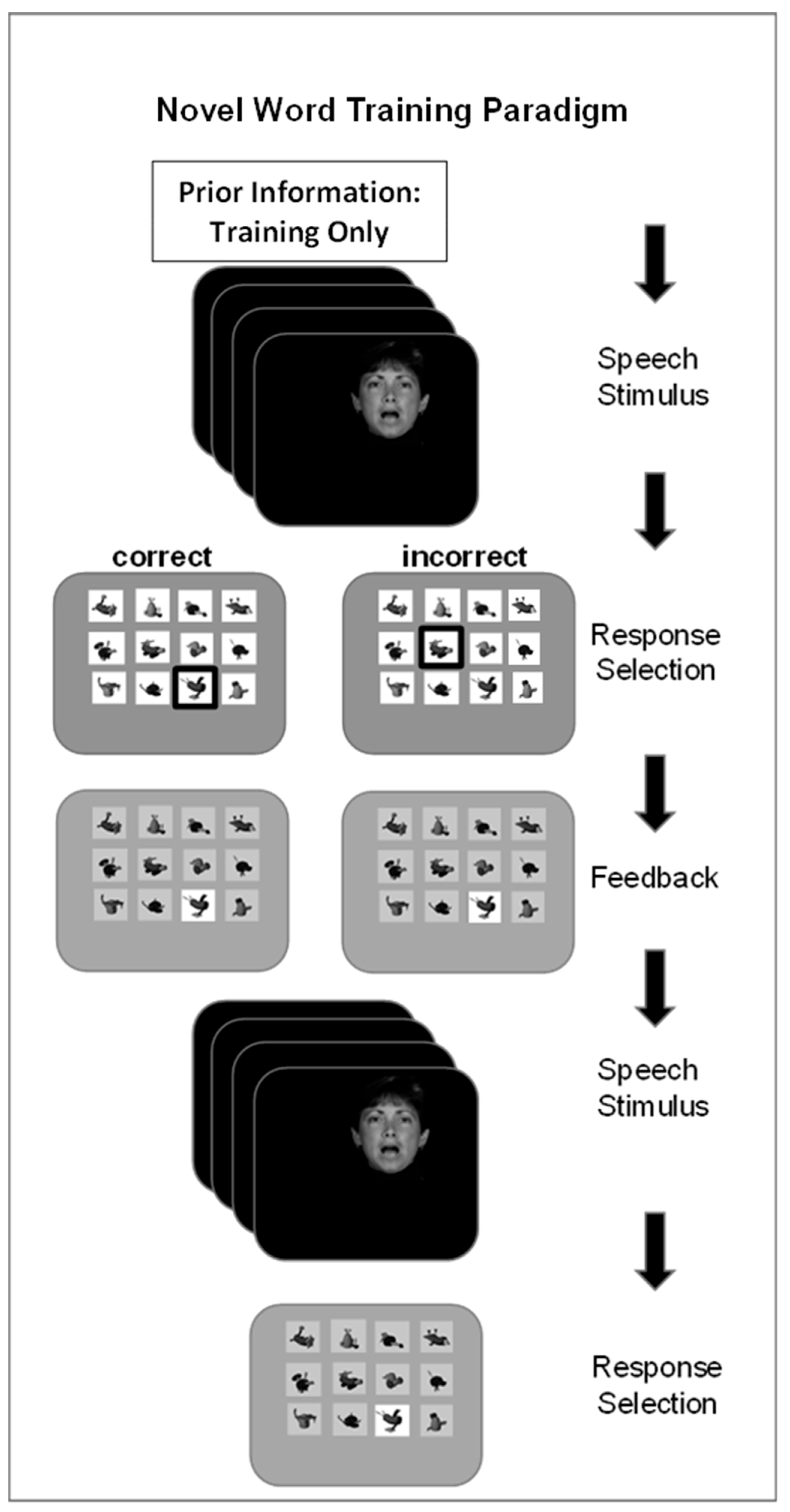 Brainsci 13 01008 g001