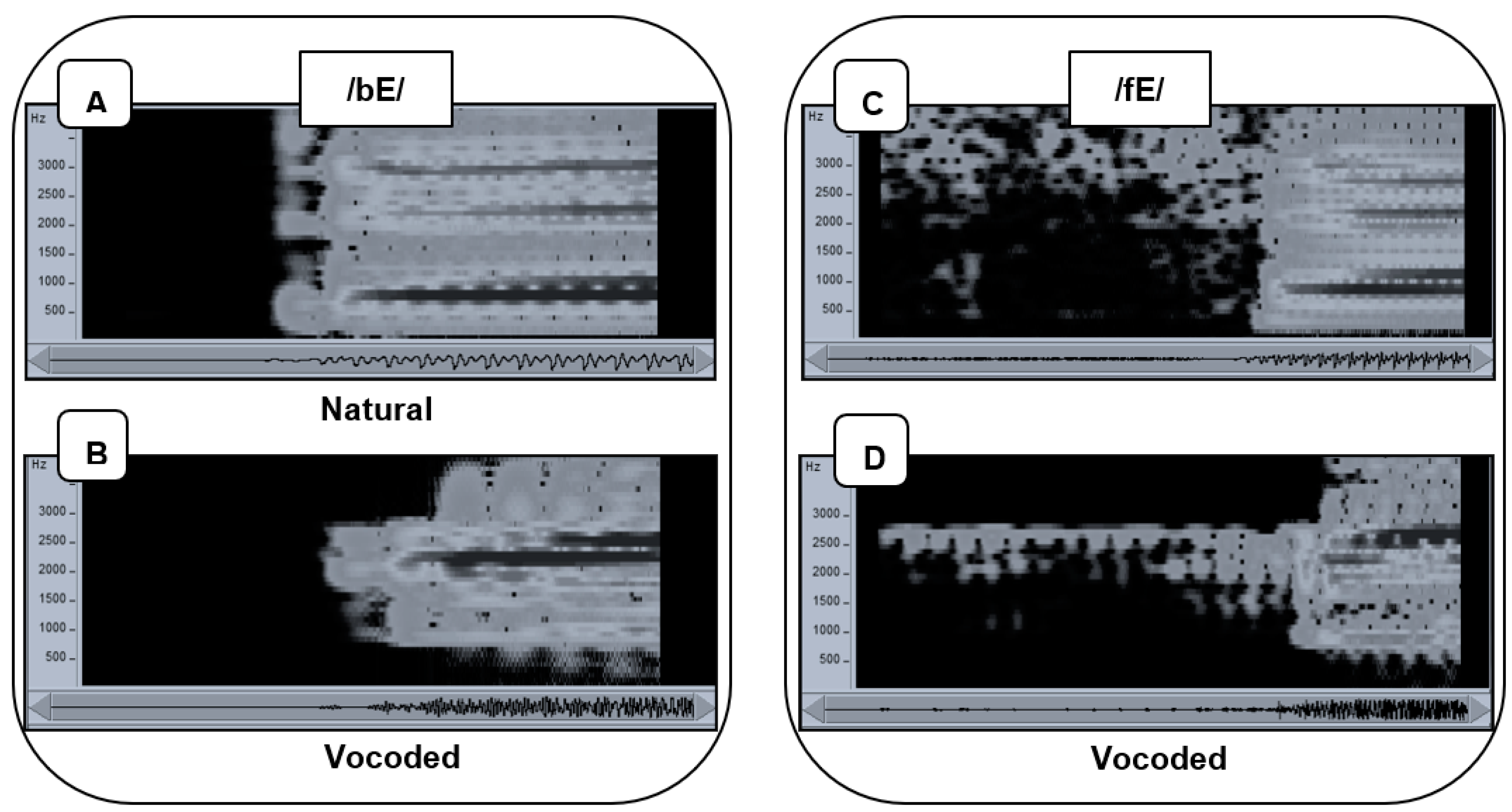 Brainsci 13 01008 g002