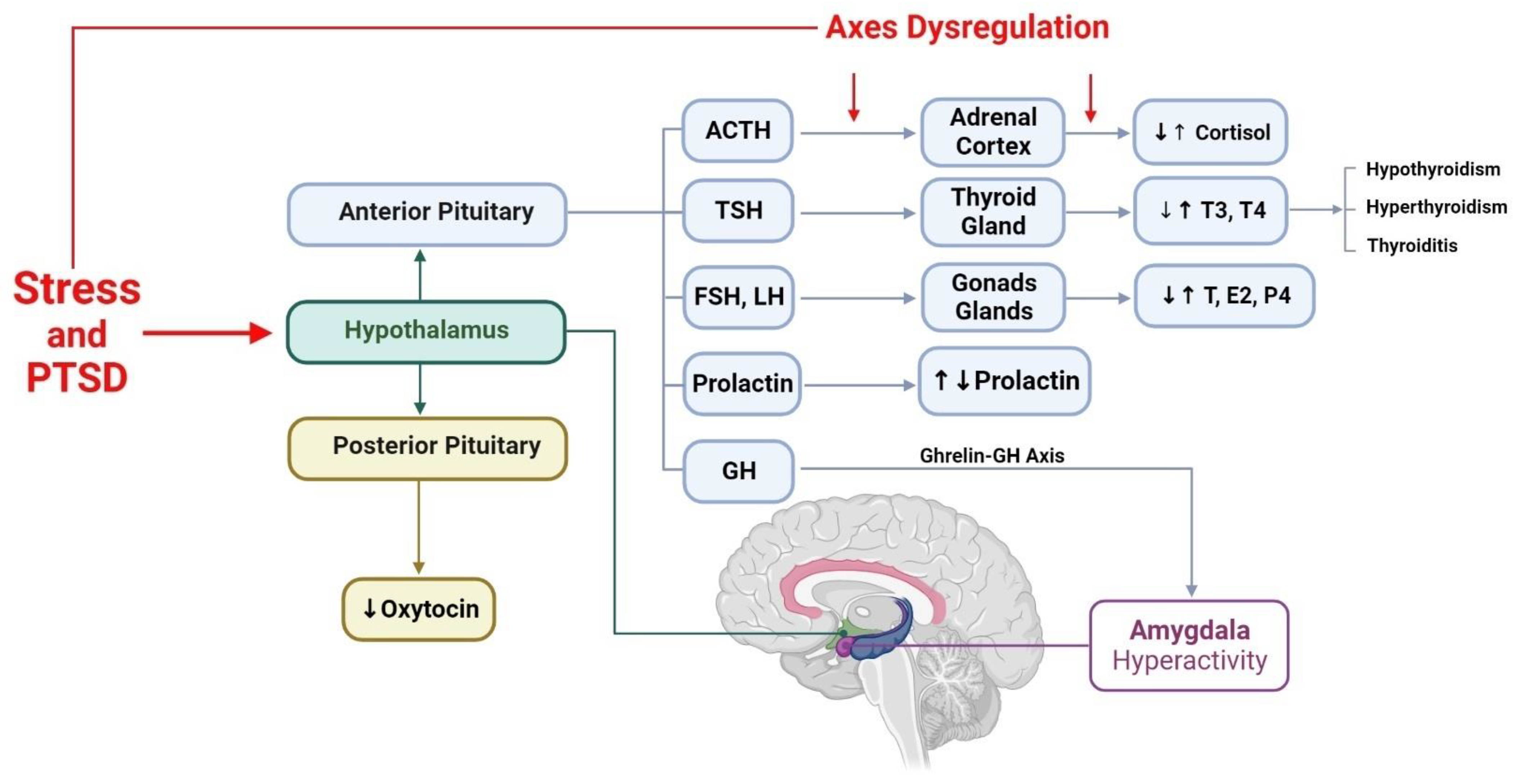 Brainsci 13 01010 g005