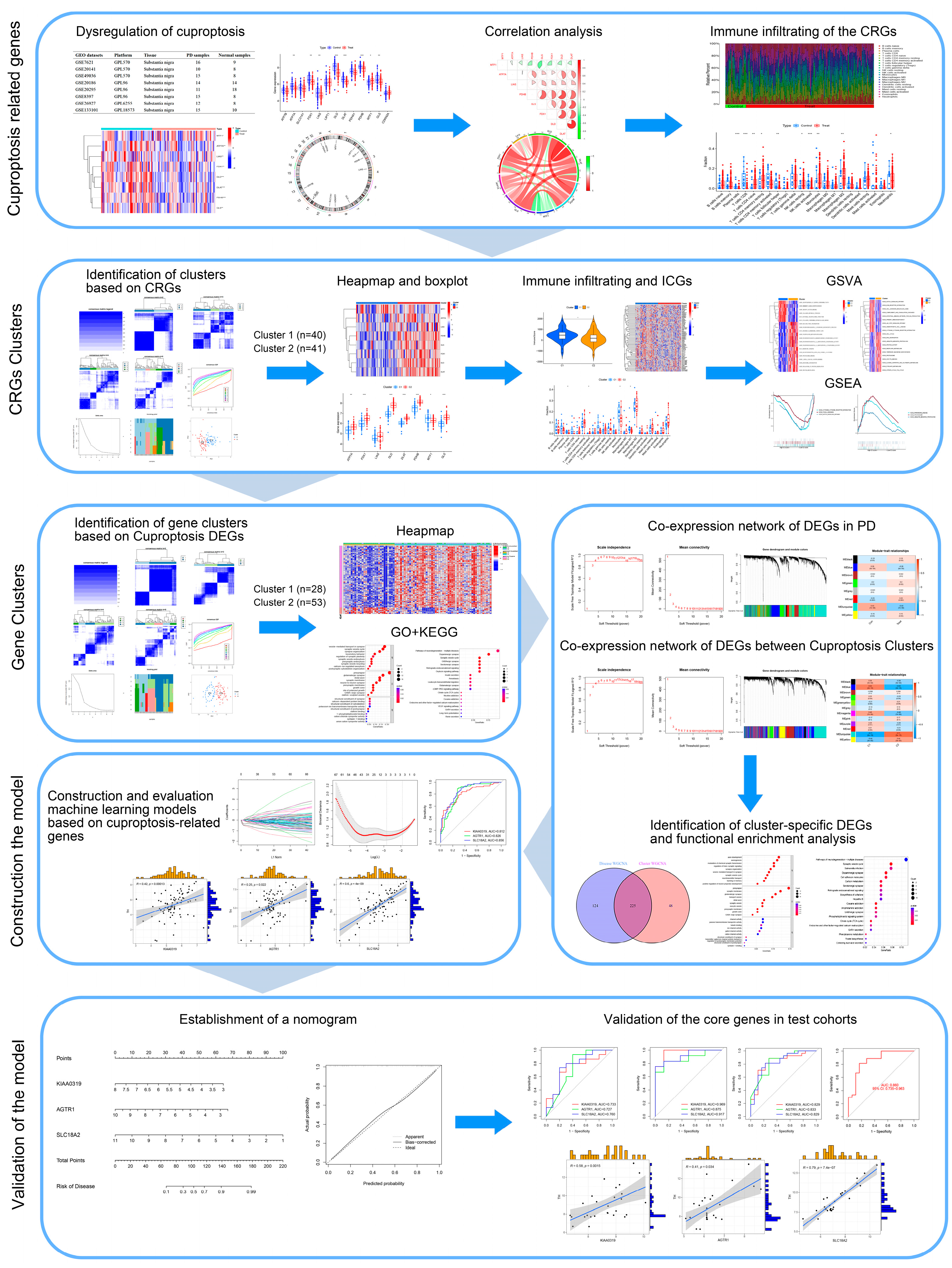 Brainsci 13 01015 g001