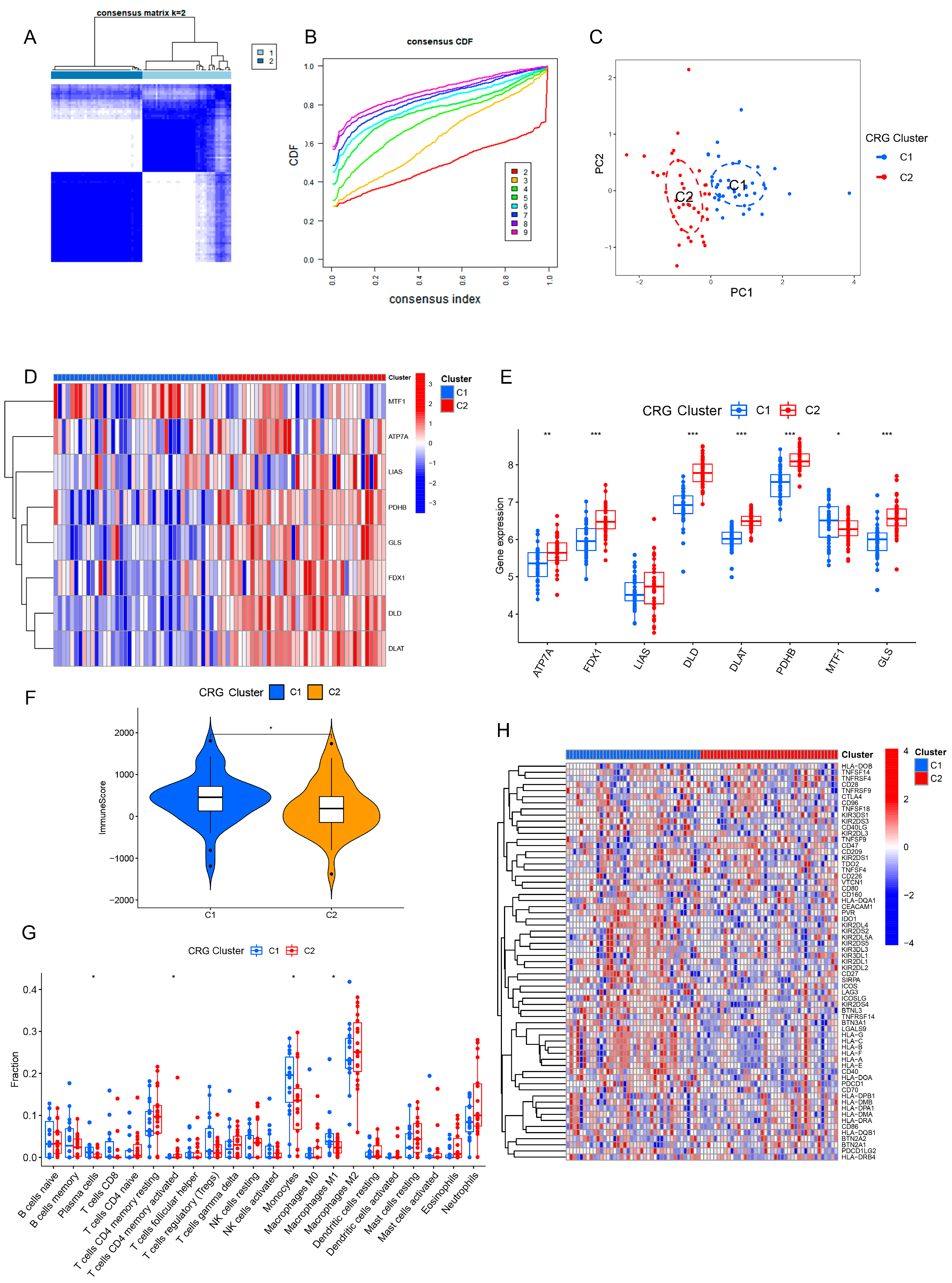 Brainsci 13 01015 g003