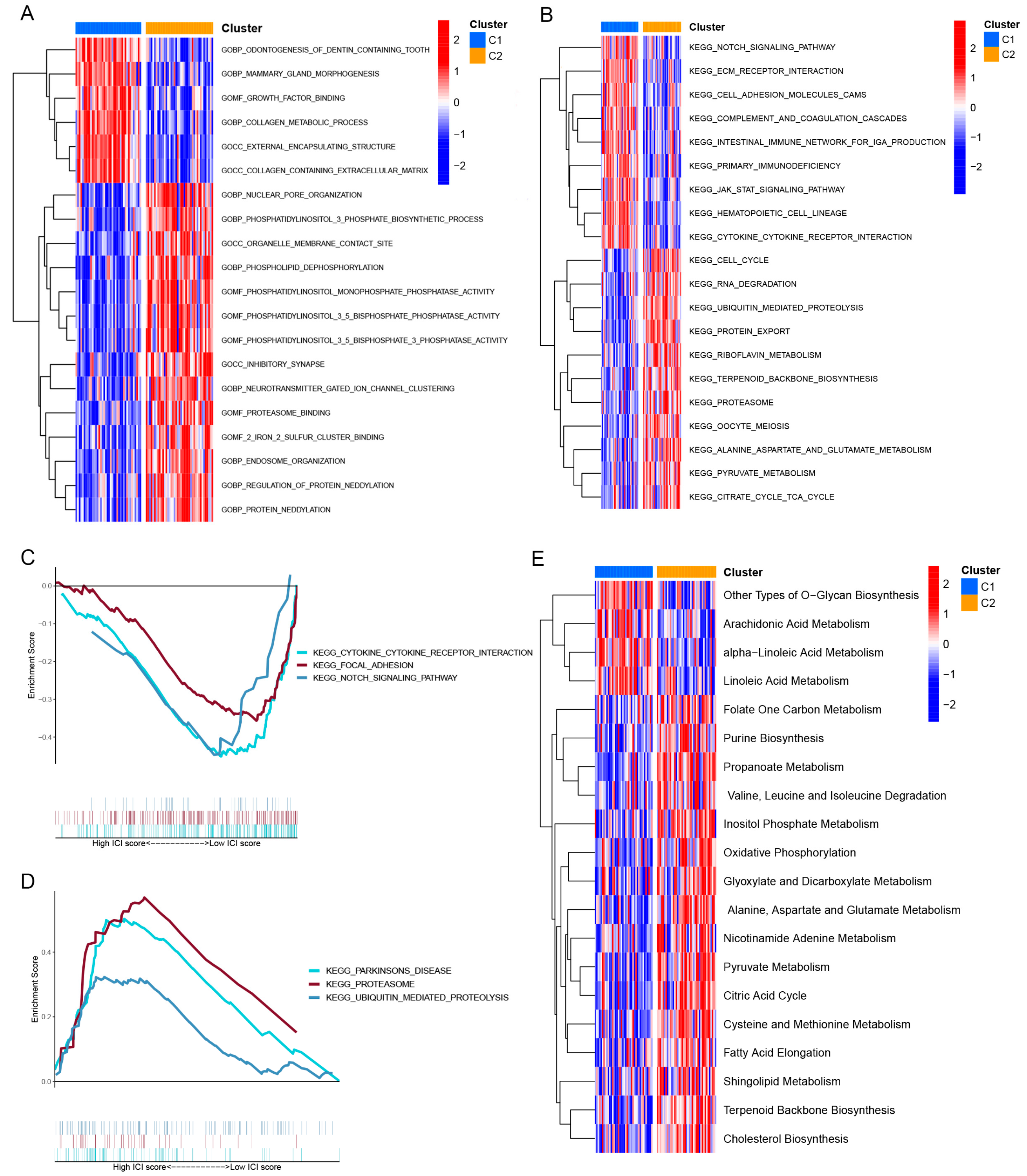 Brainsci 13 01015 g004