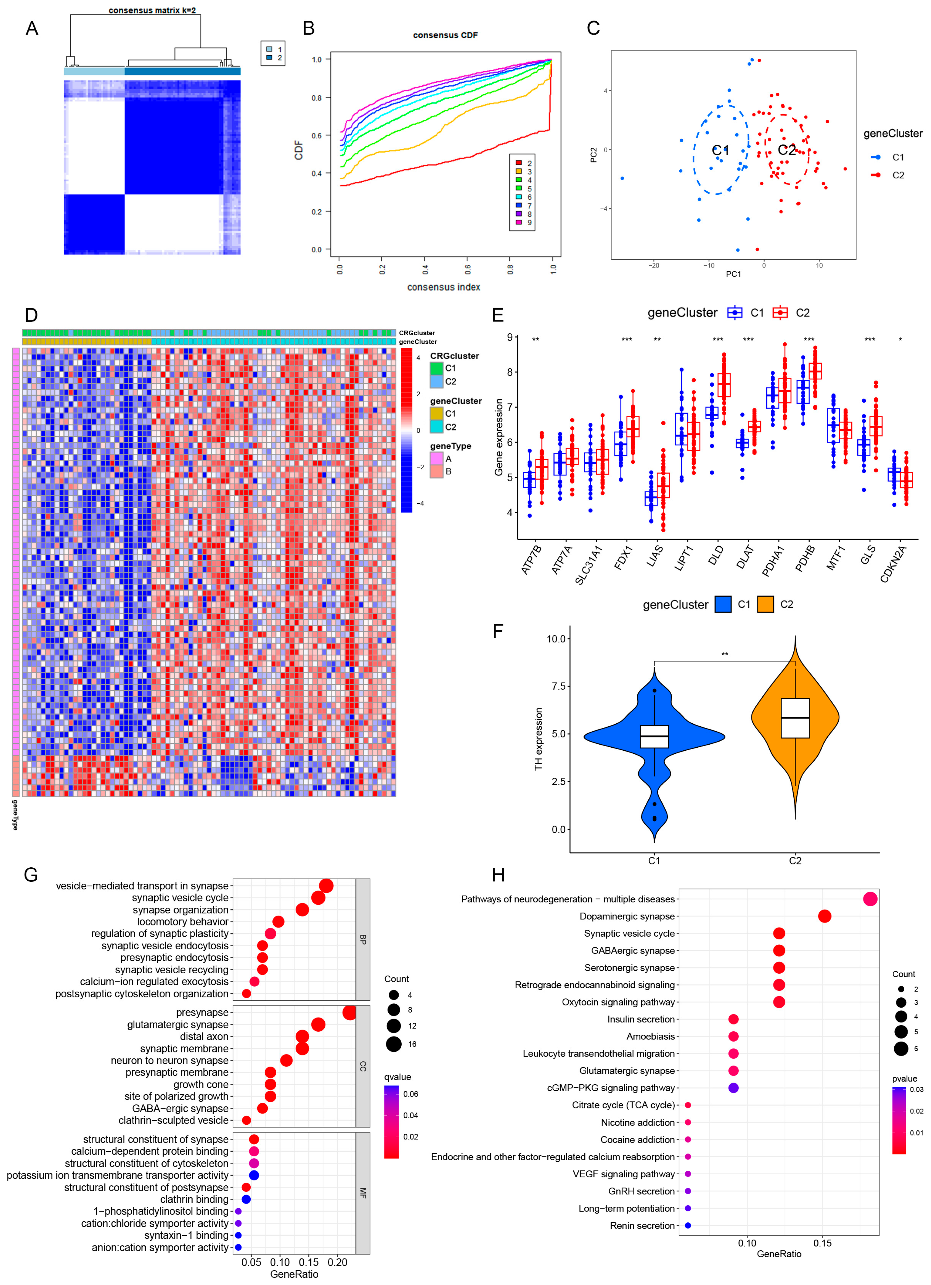 Brainsci 13 01015 g005