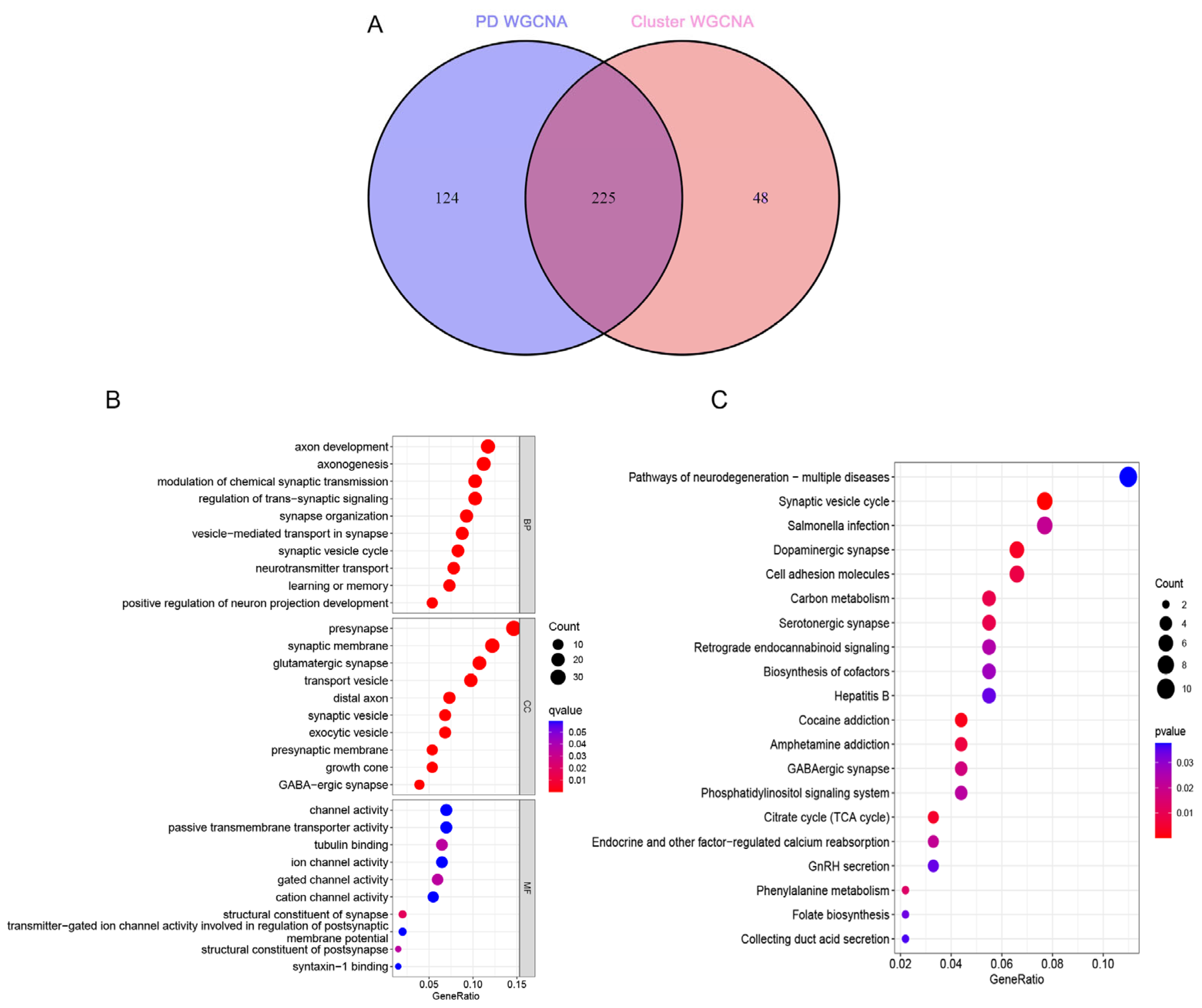 Brainsci 13 01015 g008