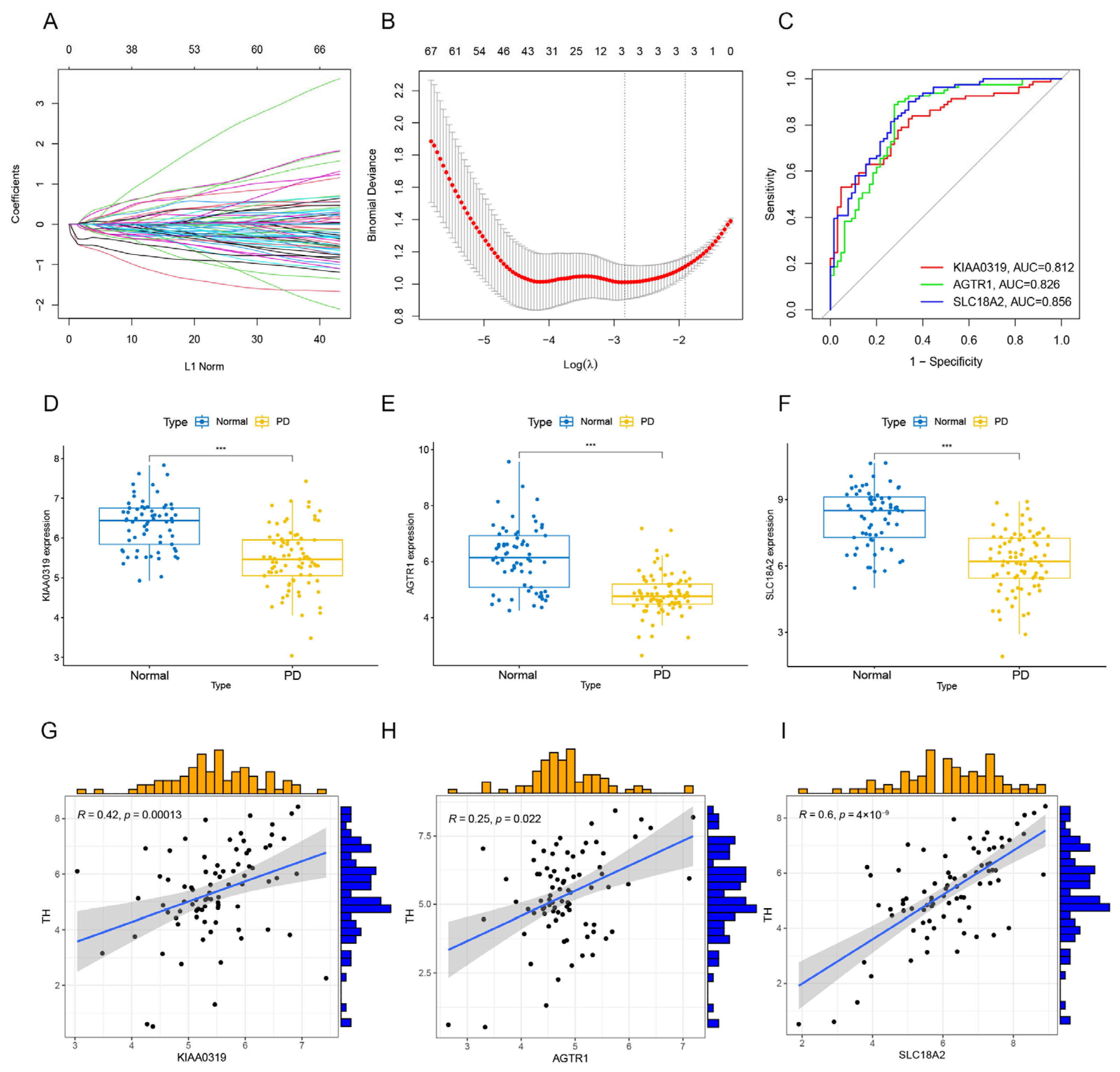 Brainsci 13 01015 g009