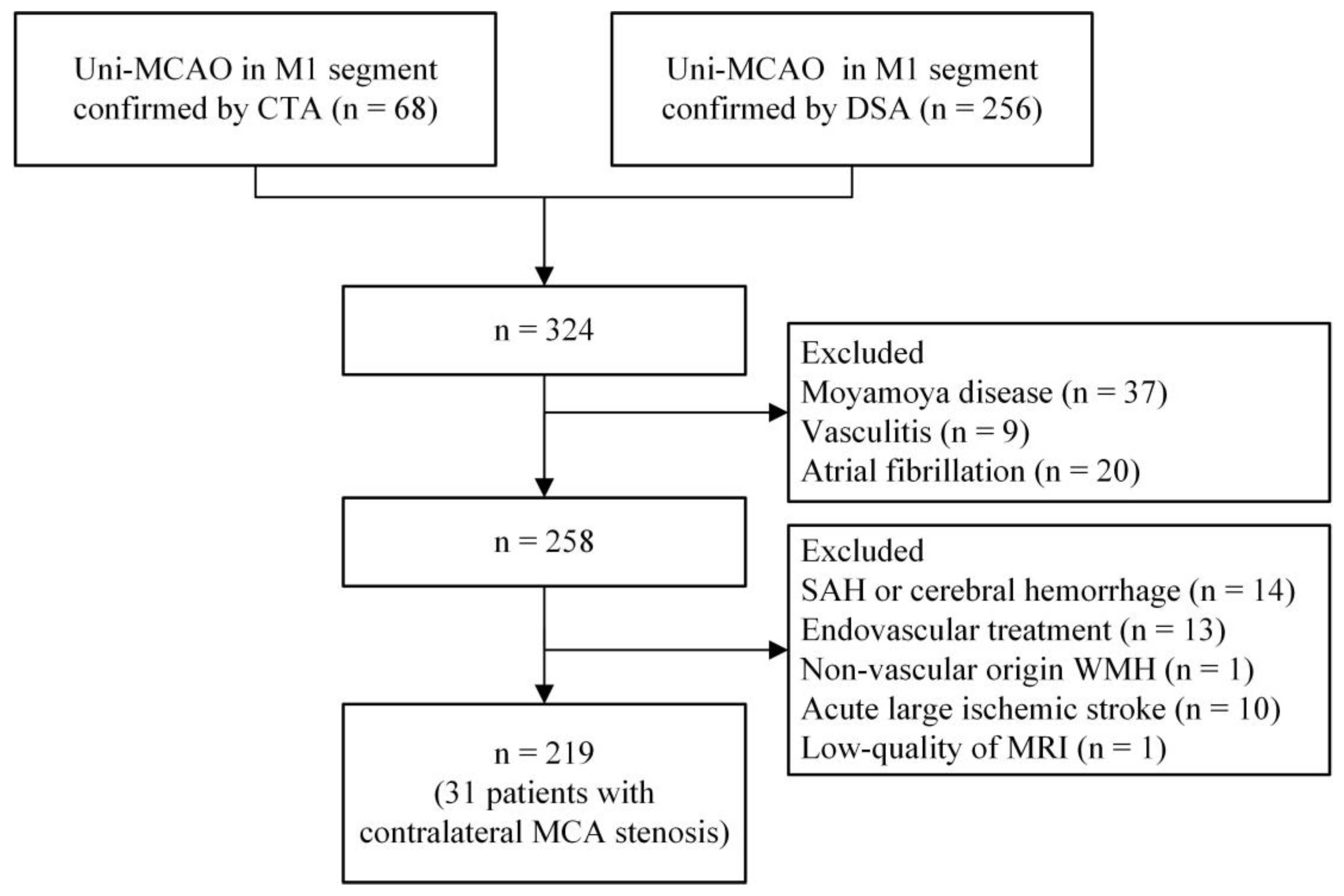 Brainsci 13 01016 g001