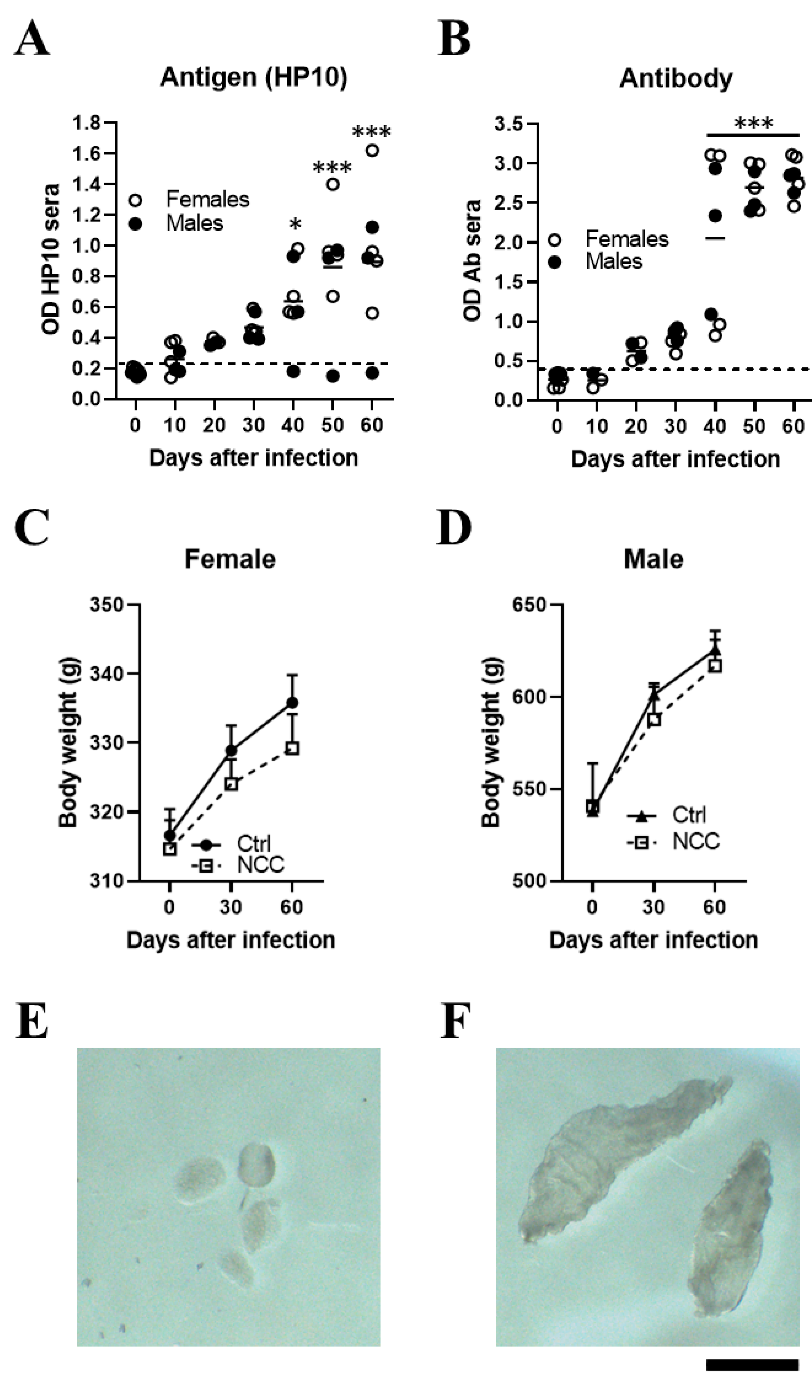 Brainsci 13 01021 g001