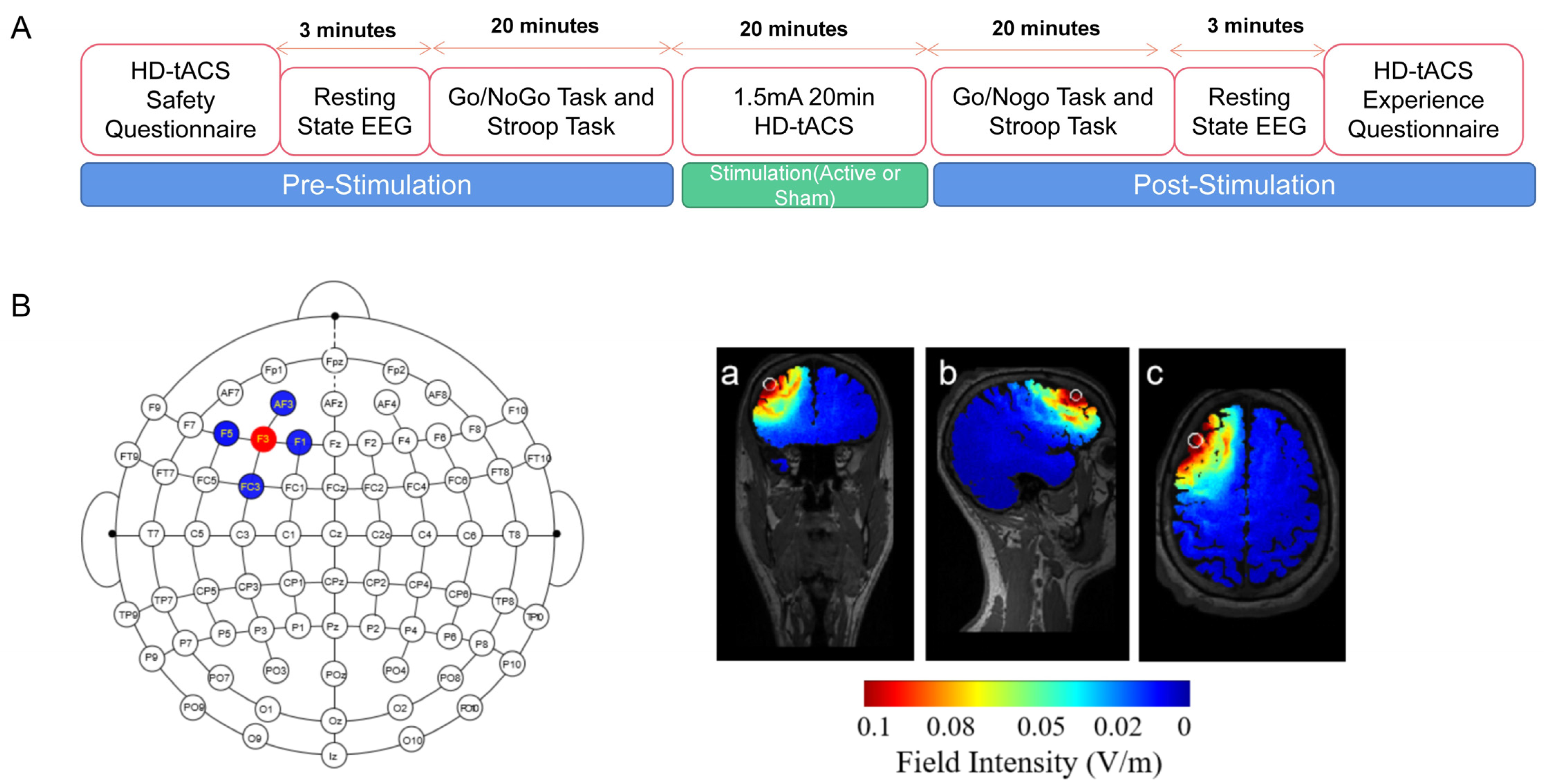 Brainsci 13 01026 g001