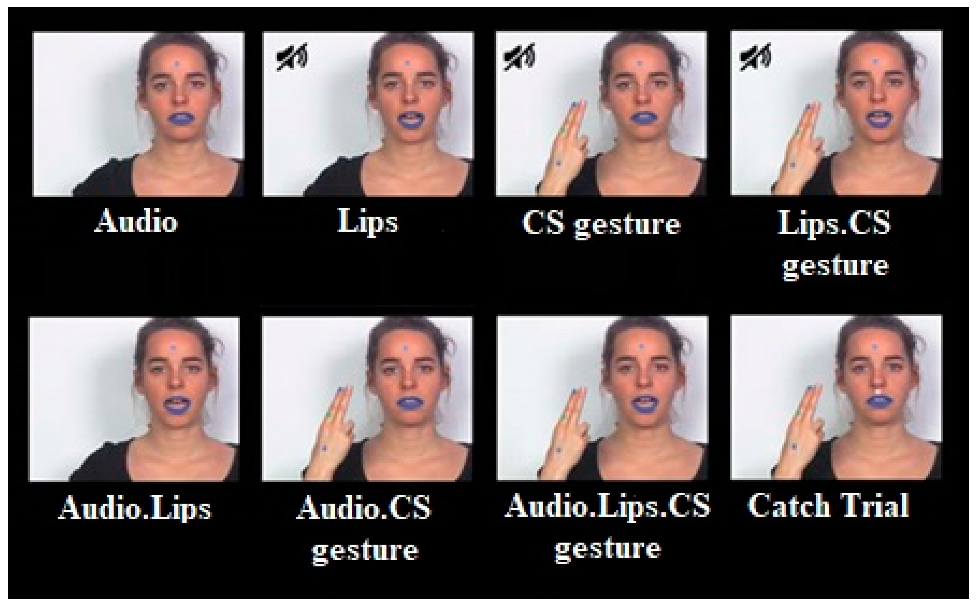 Brainsci 13 01036 g002