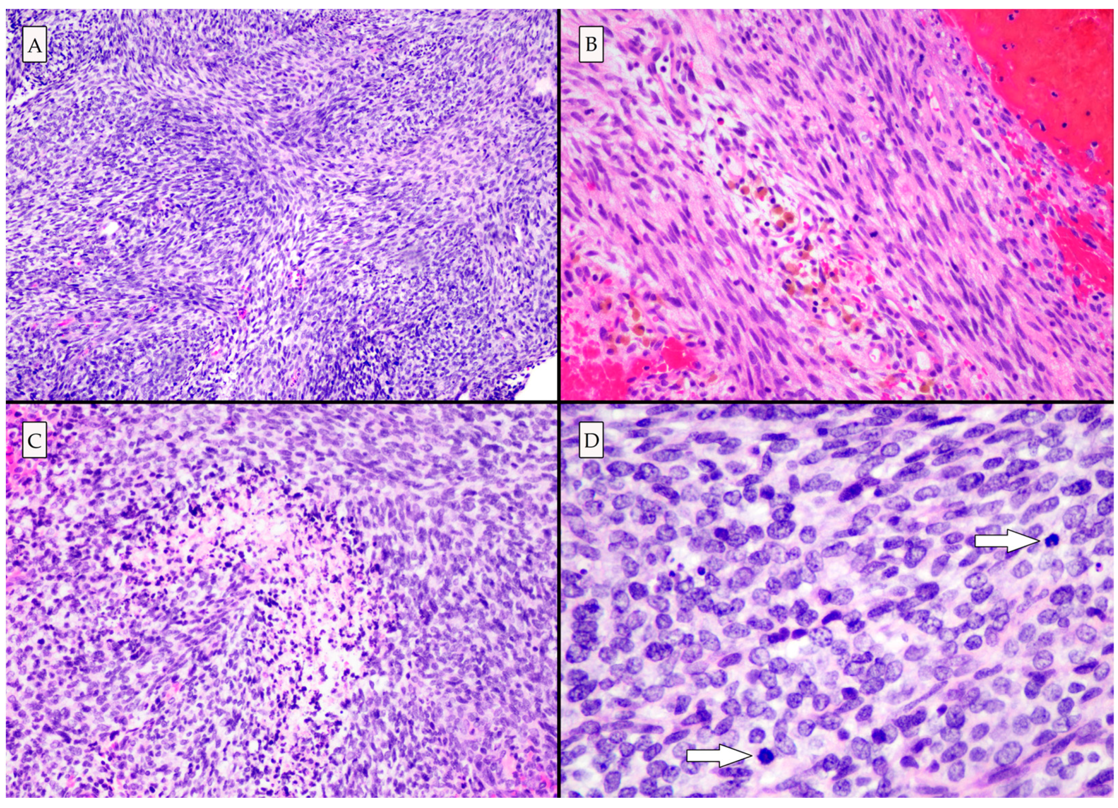 Brainsci 13 01040 g003 Brainsci 13 01040 g003