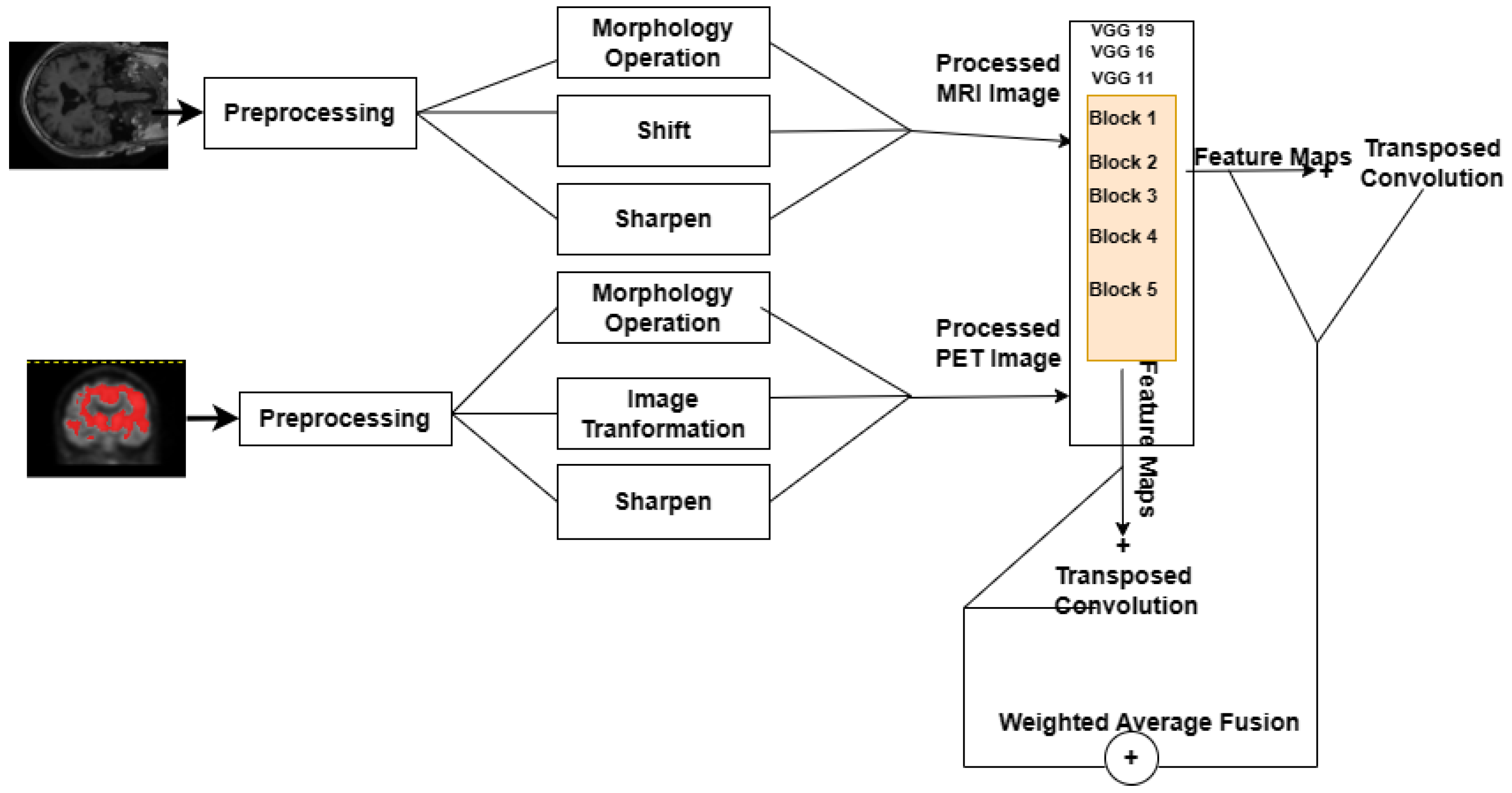 Brainsci 13 01045 g001
