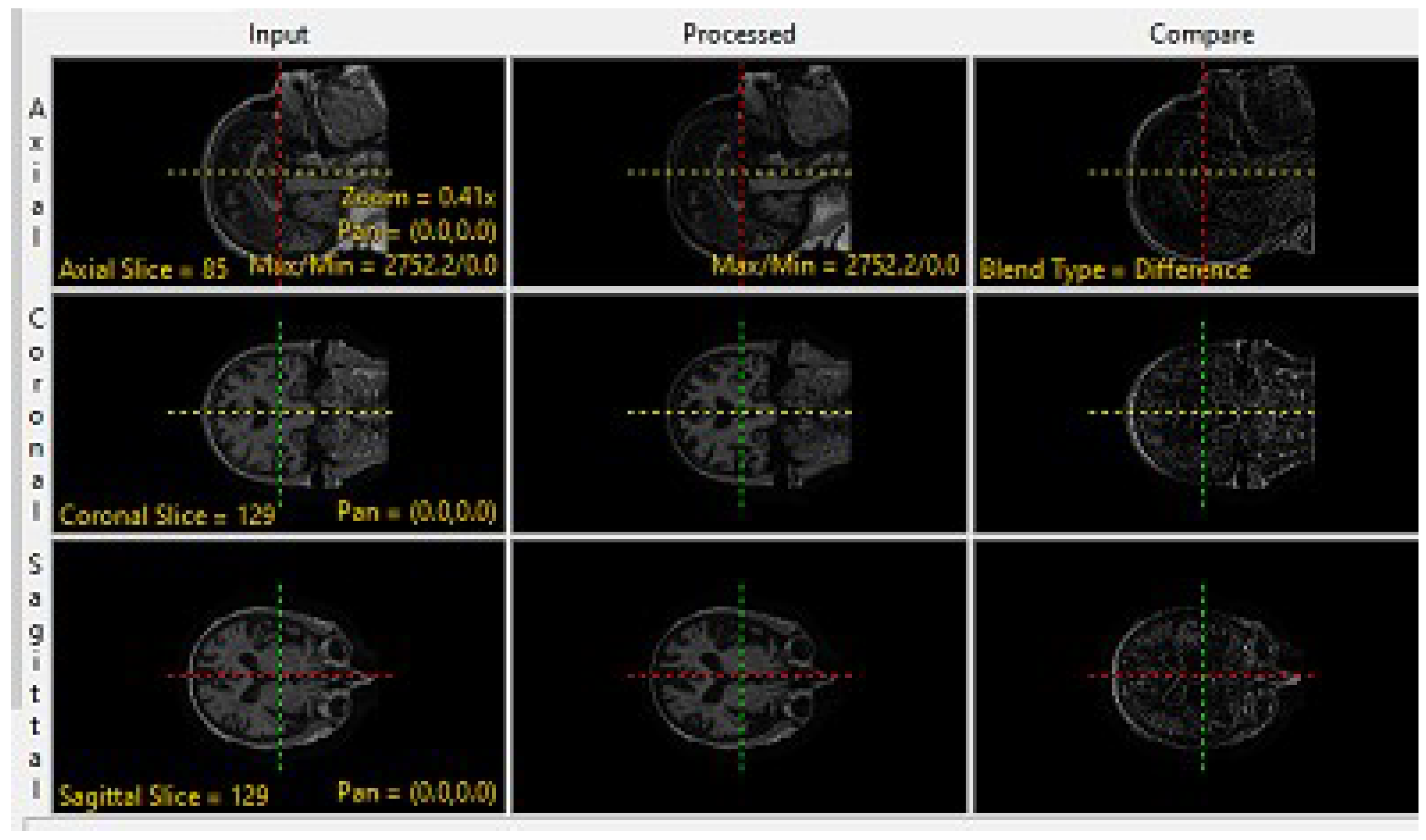 Brainsci 13 01045 g002