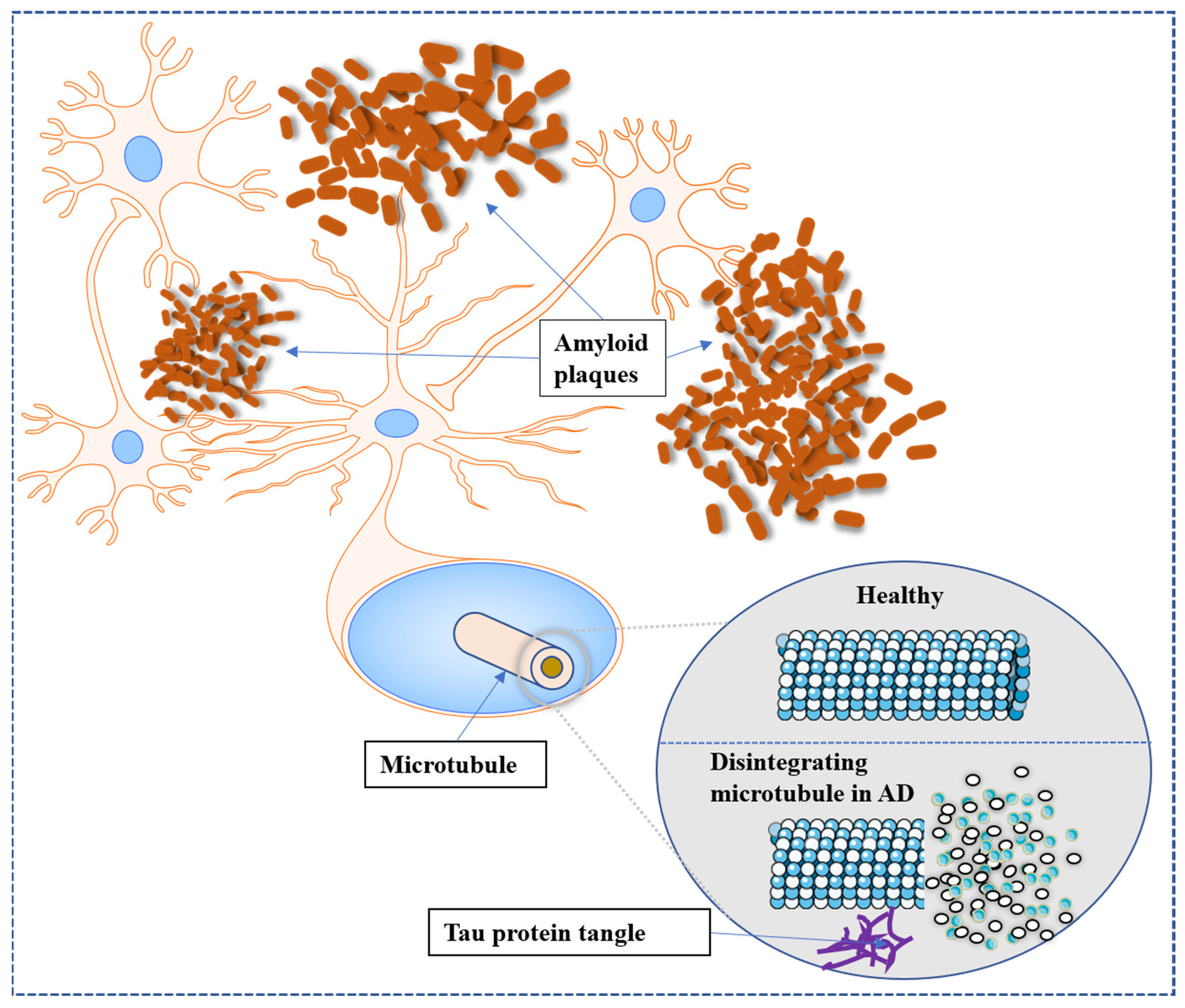 Brainsci 13 01046 g001