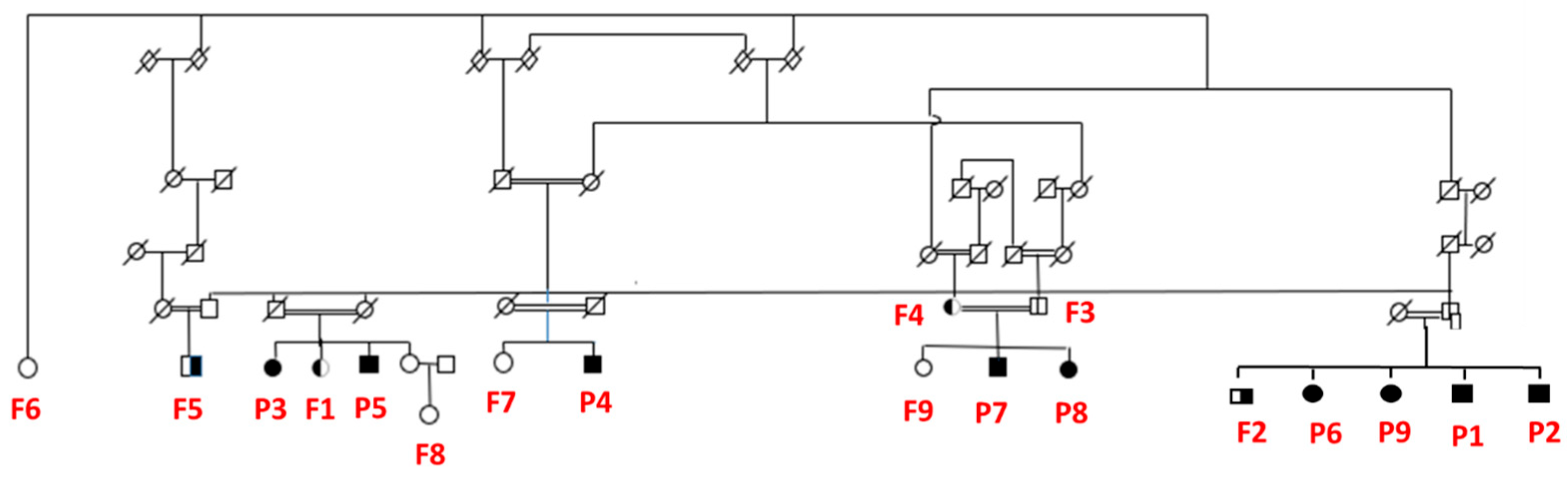 Brainsci 13 01048 g001