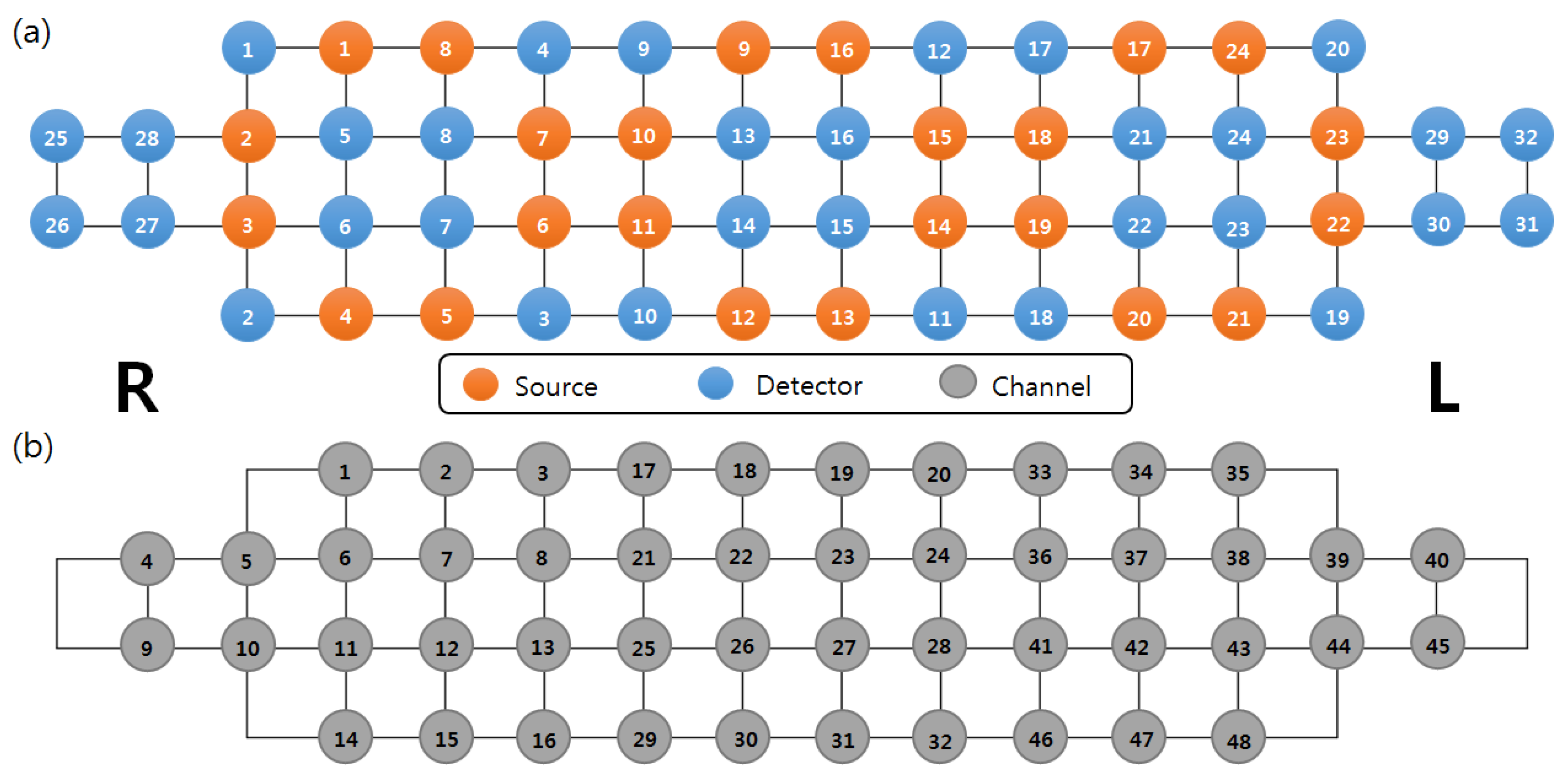 Brainsci 13 01054 g001