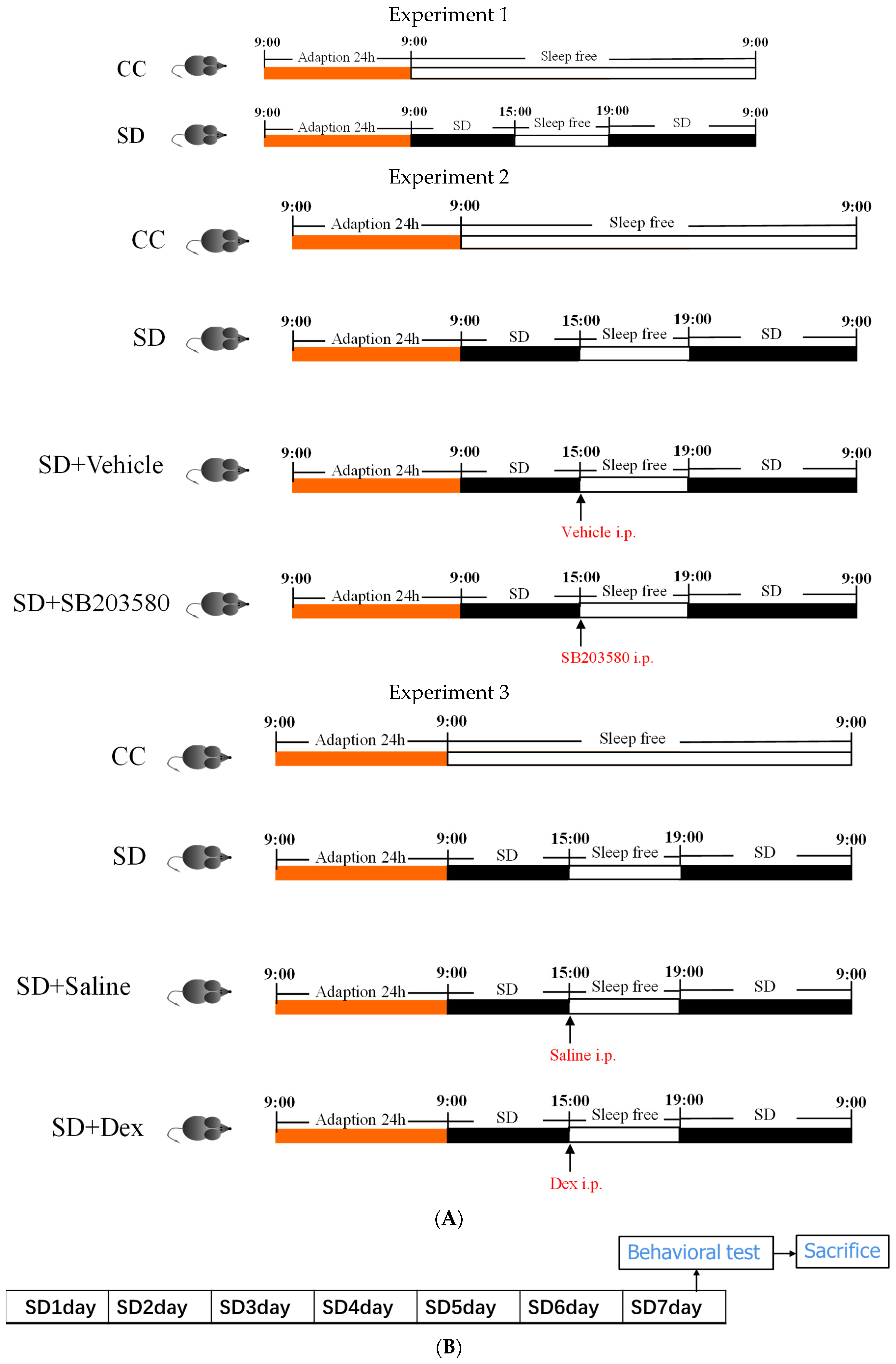Brainsci 13 01058 g001 Brainsci 13 01058 g001