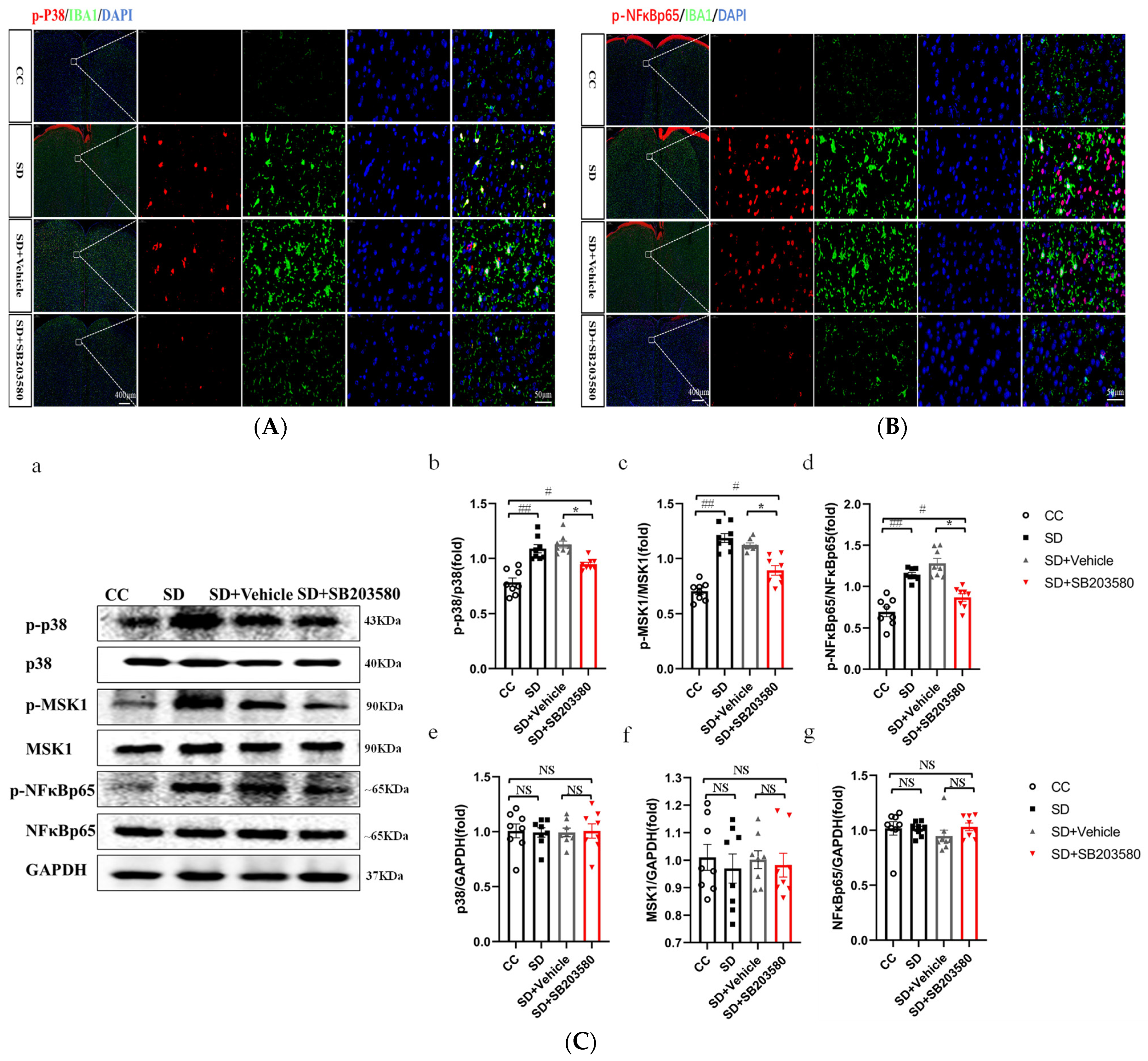 Brainsci 13 01058 g005 Brainsci 13 01058 g005