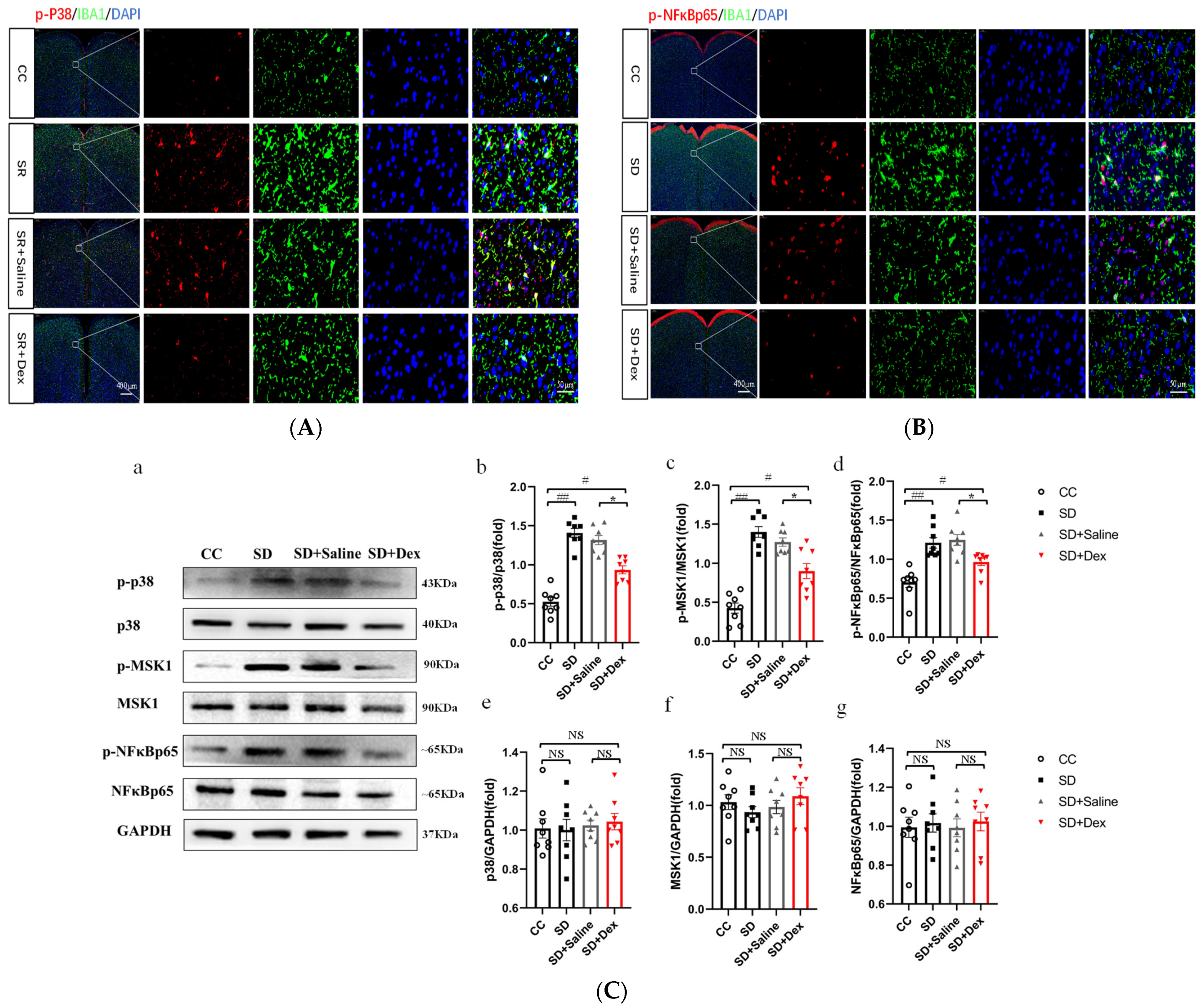 Brainsci 13 01058 g008 Brainsci 13 01058 g008
