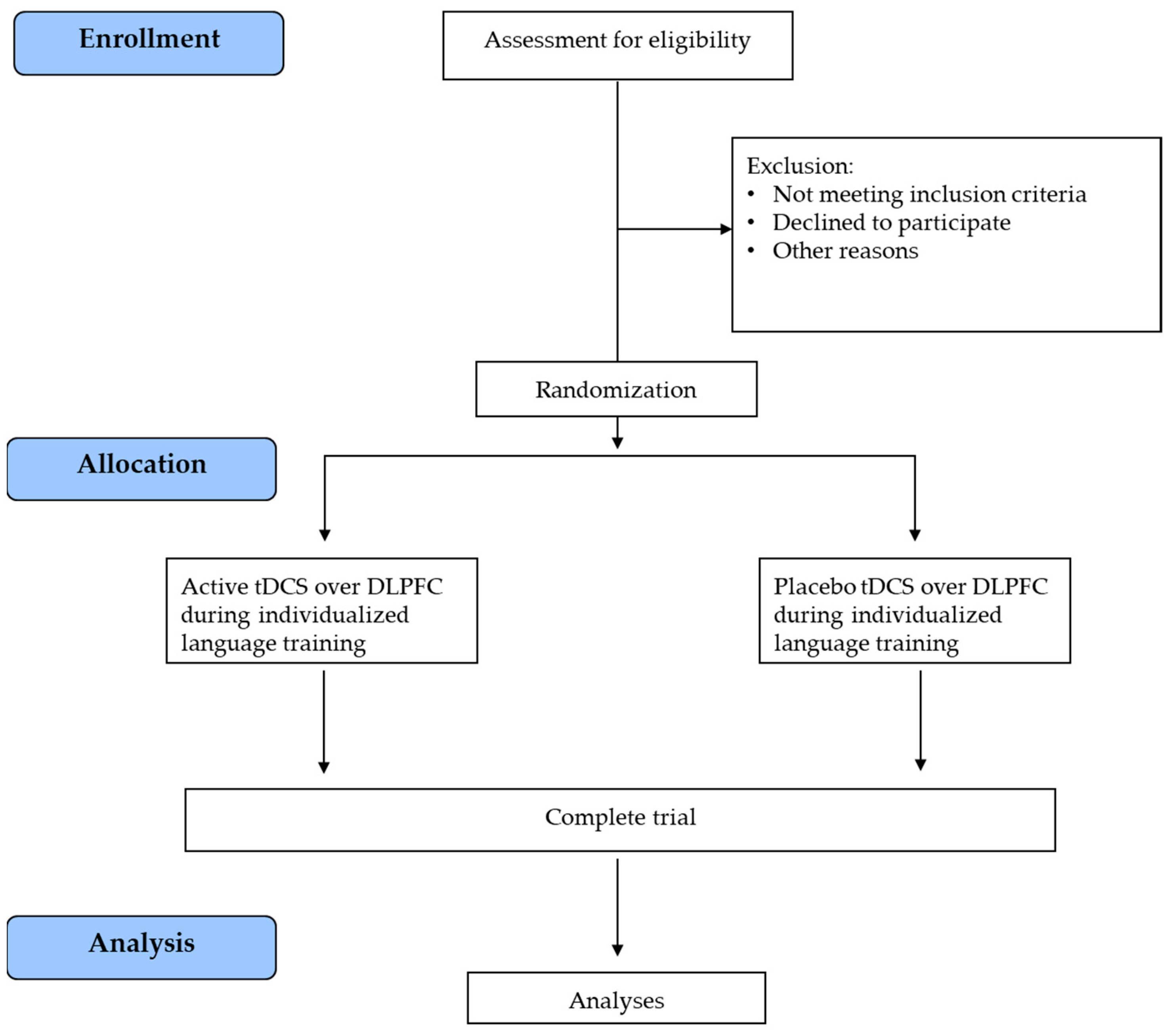 Brainsci 13 01060 g002 Brainsci 13 01060 g002