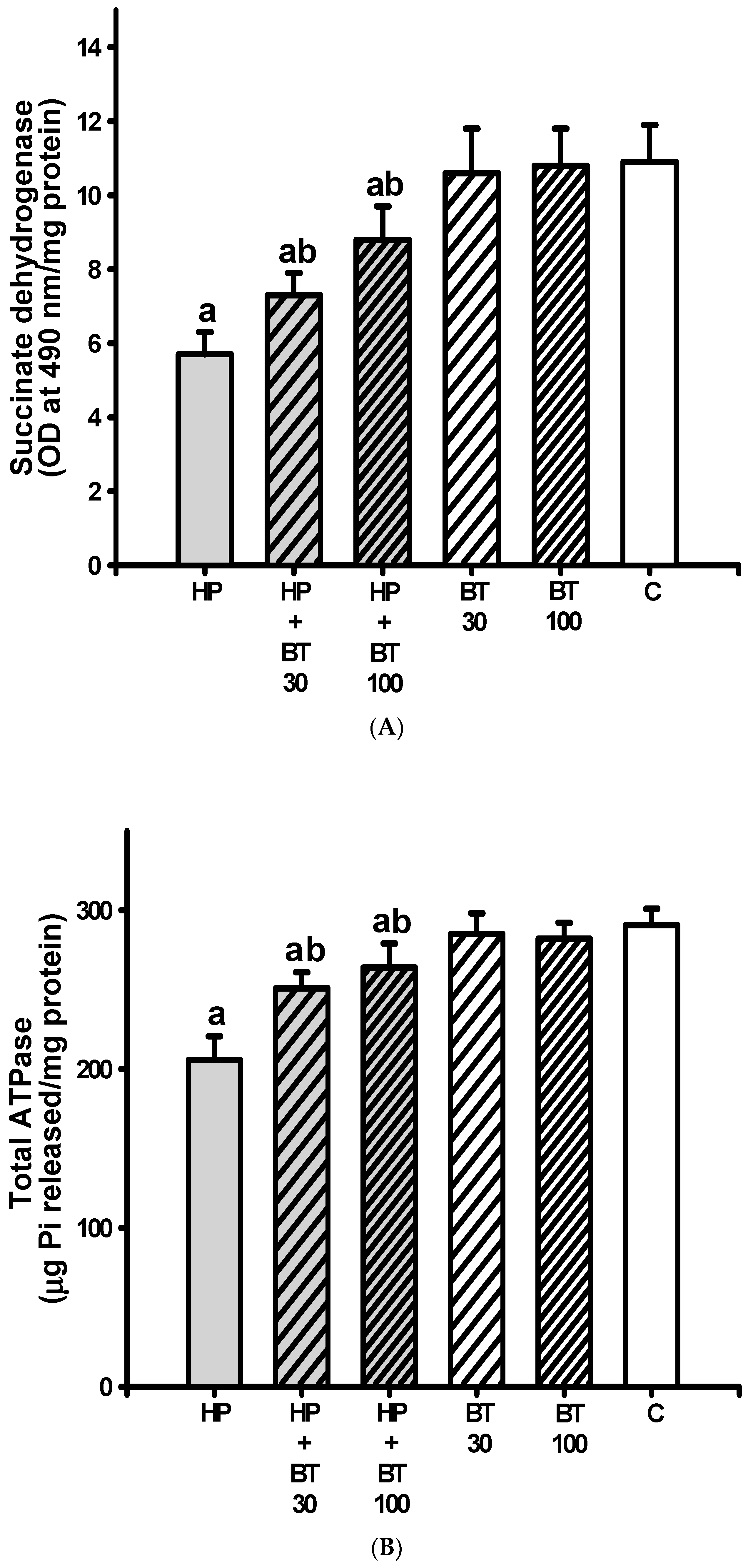 Brainsci 13 01064 g005a