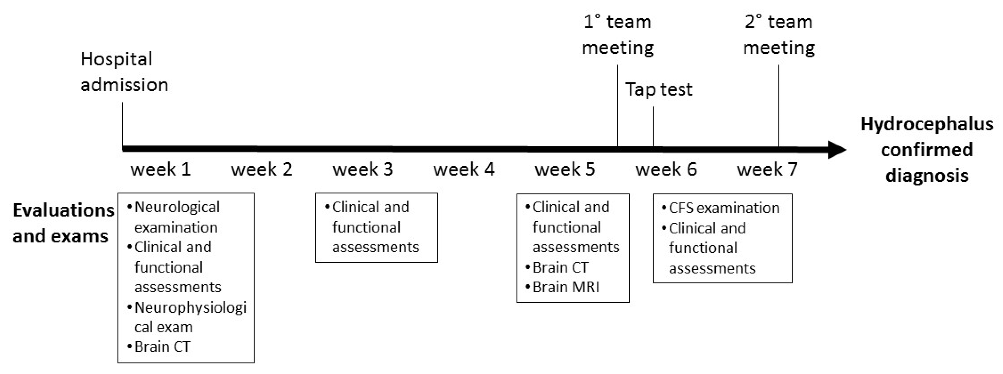 Brainsci 13 01067 g001 Brainsci 13 01067 g001