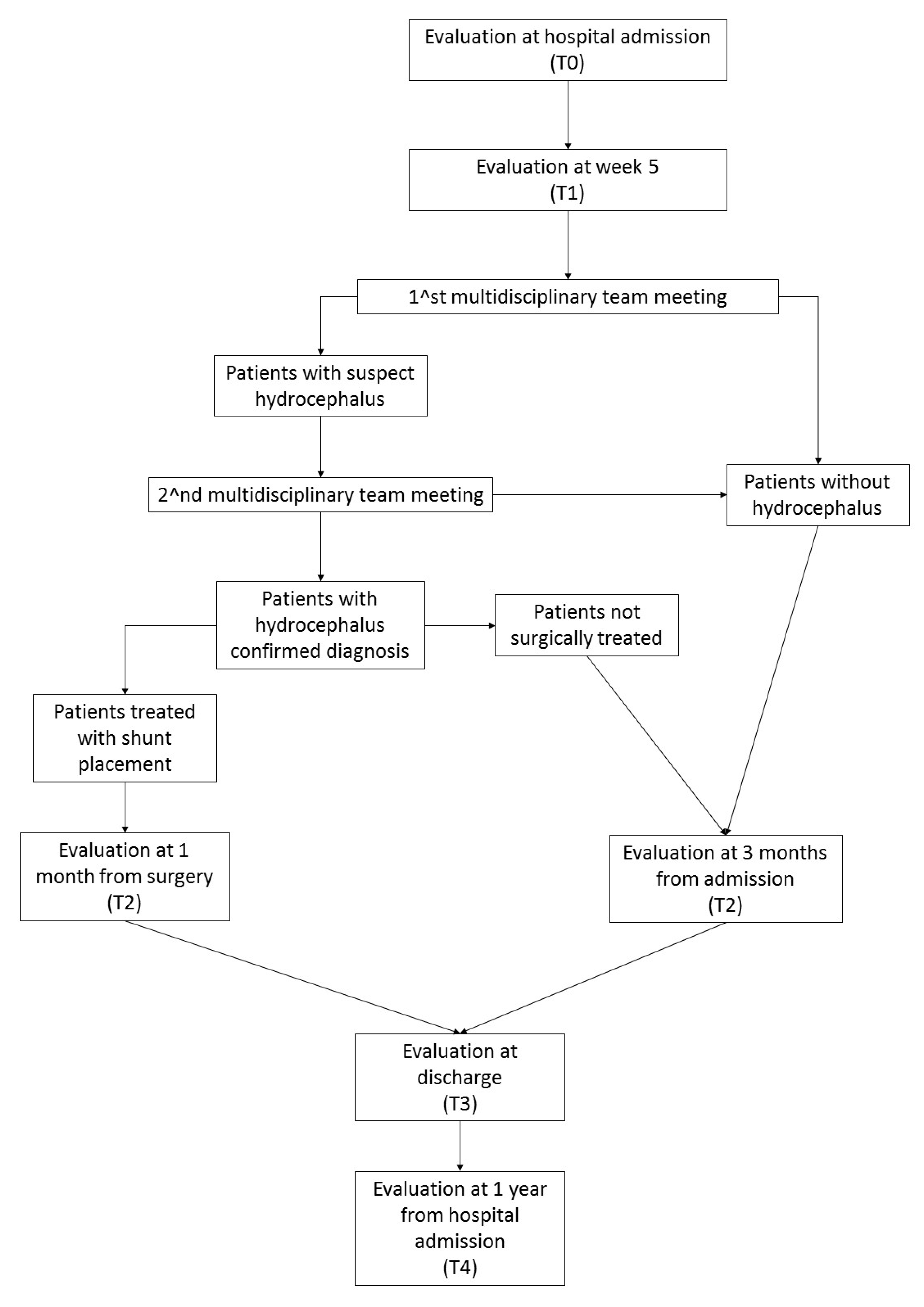 Brainsci 13 01067 g002 Brainsci 13 01067 g002