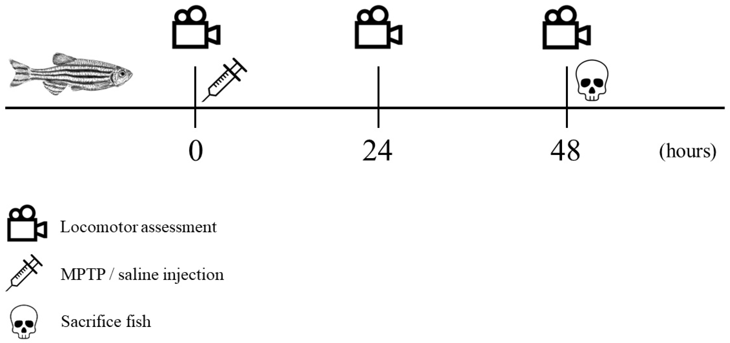 Brainsci 13 01076 g002