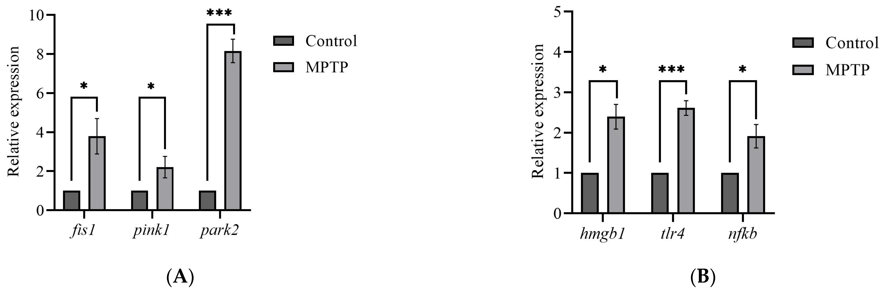 Brainsci 13 01076 g003