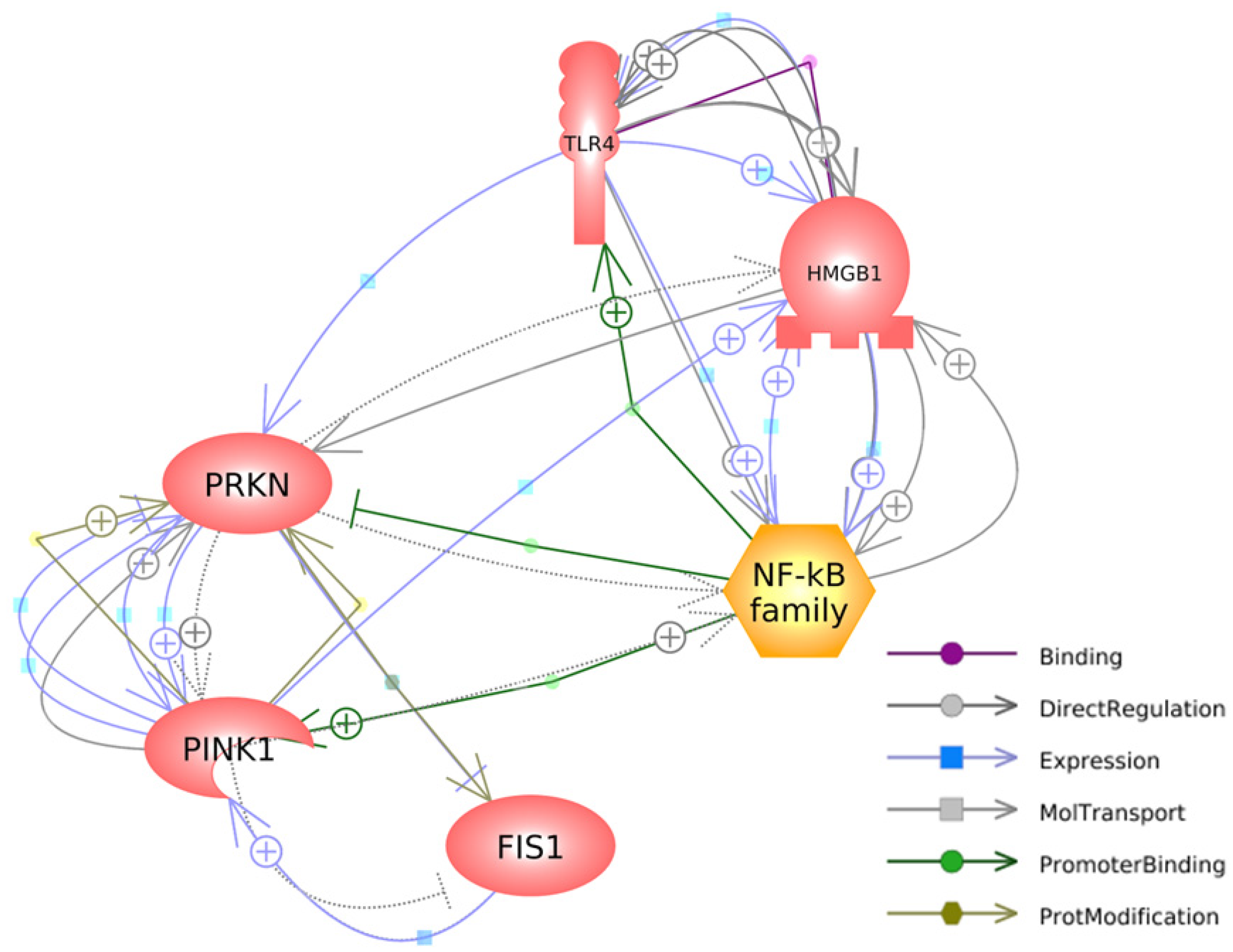 Brainsci 13 01076 g005