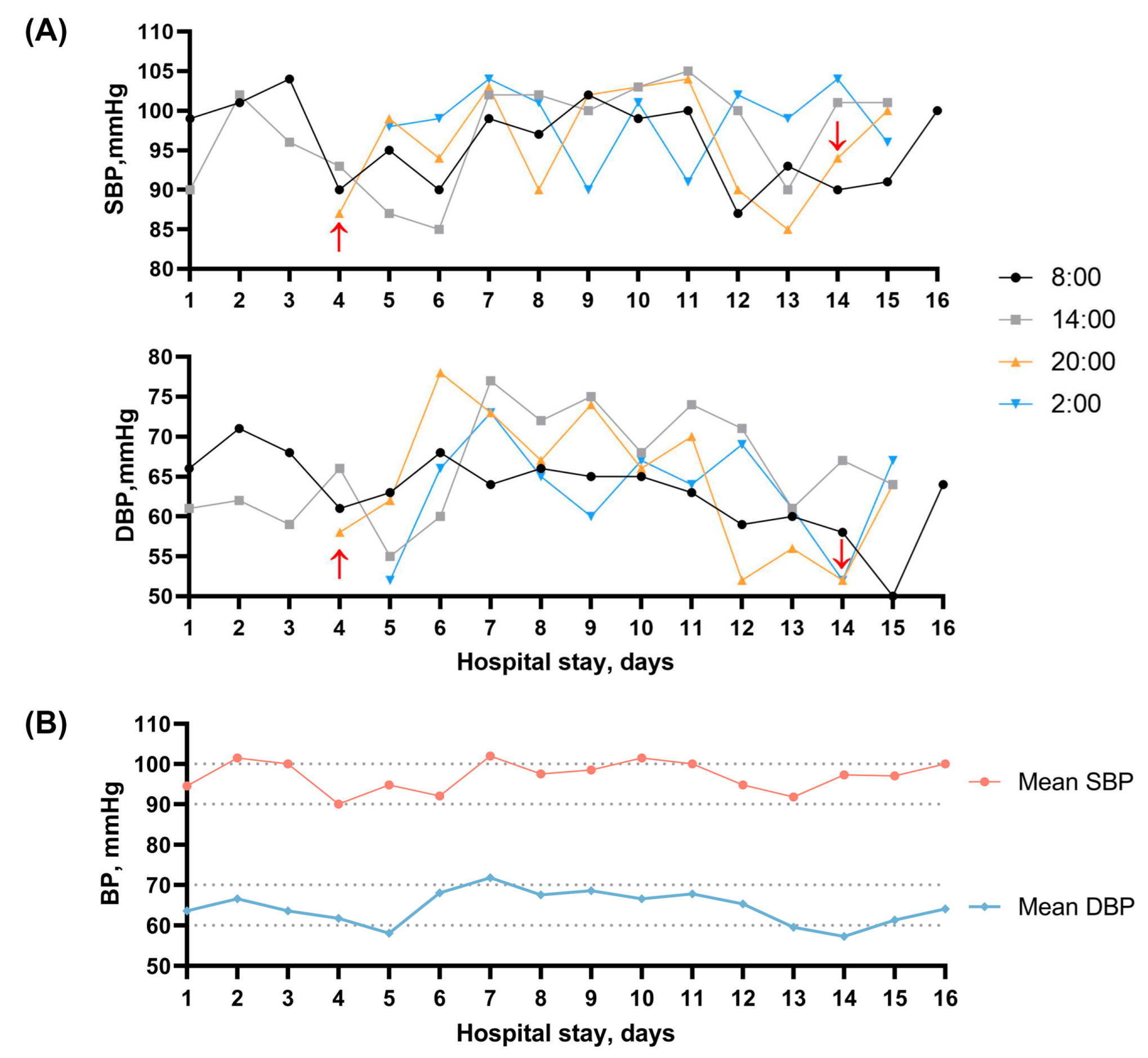 Brainsci 13 01080 g002