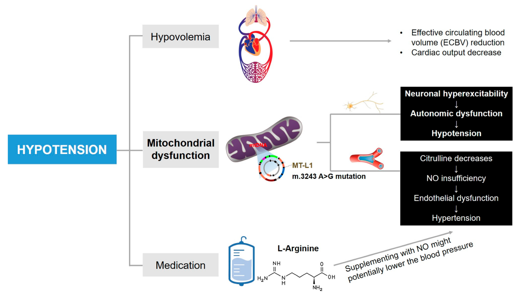 Brainsci 13 01080 g003