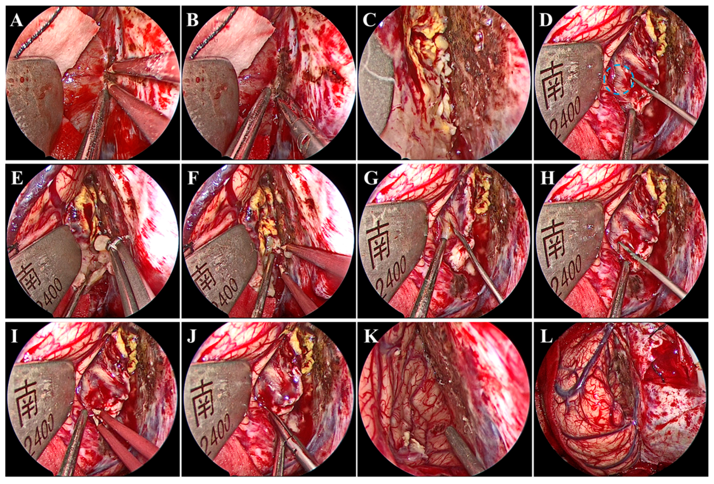 Brainsci 13 01085 g002