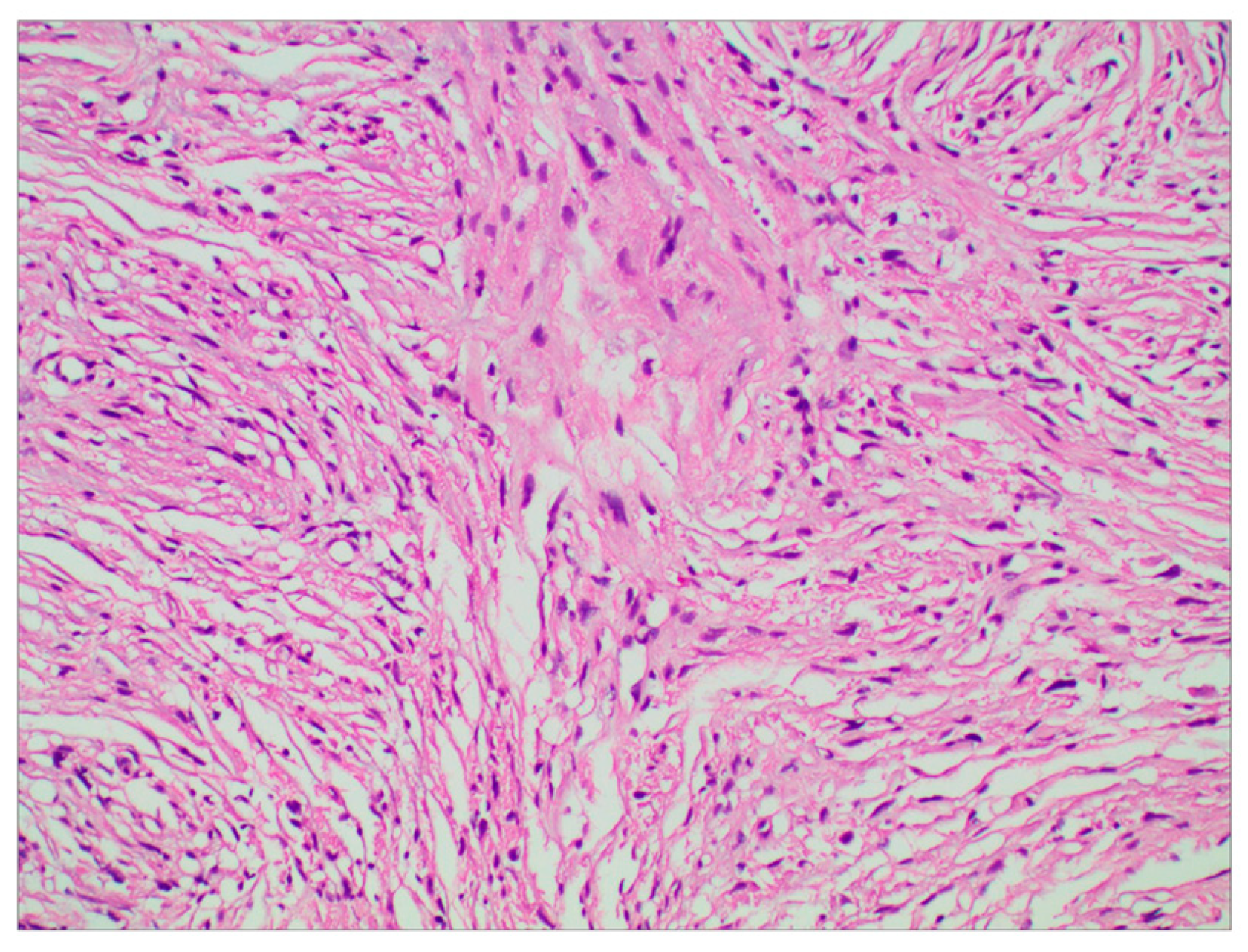 Brainsci 13 01085 g003