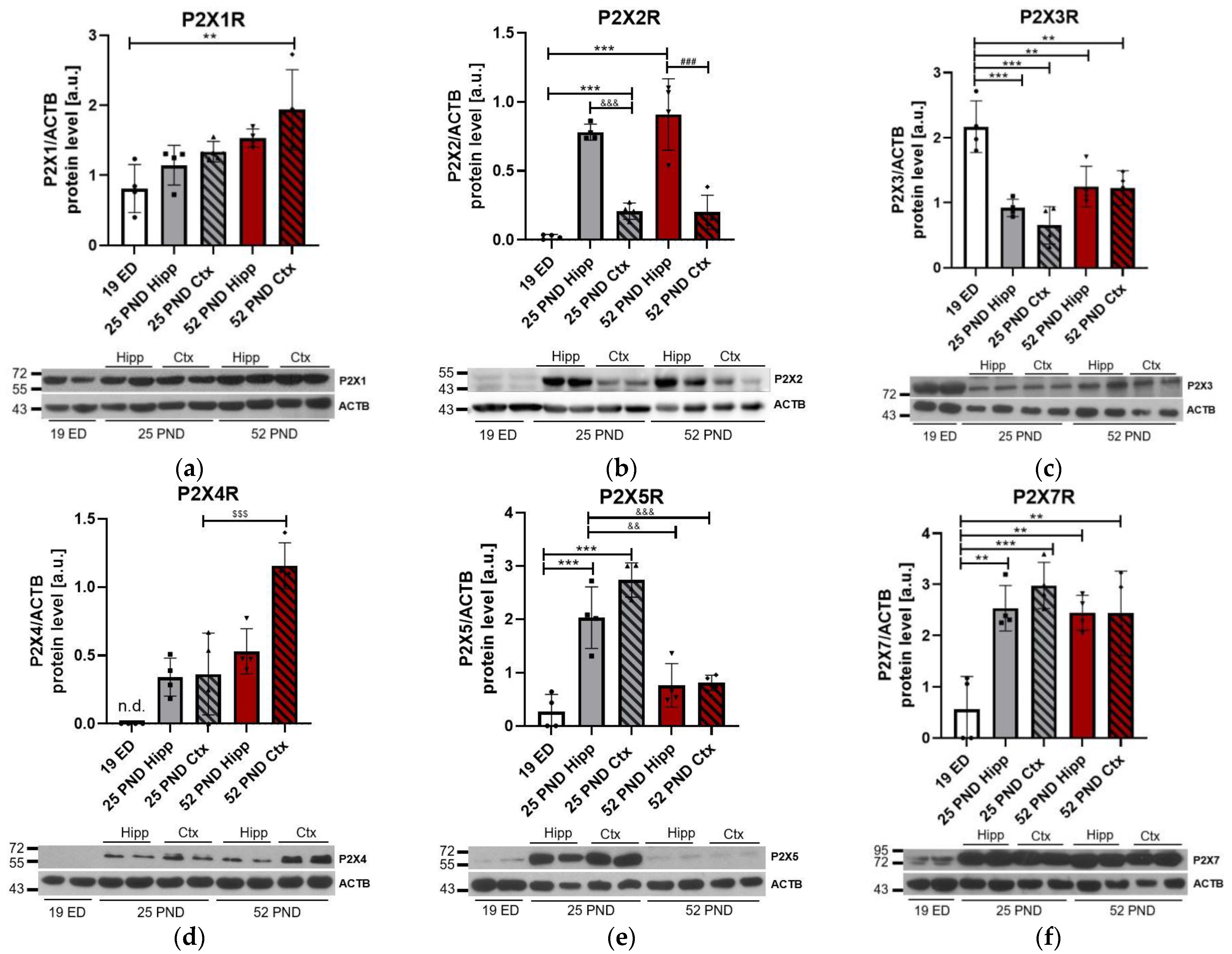Brainsci 13 01088 g002