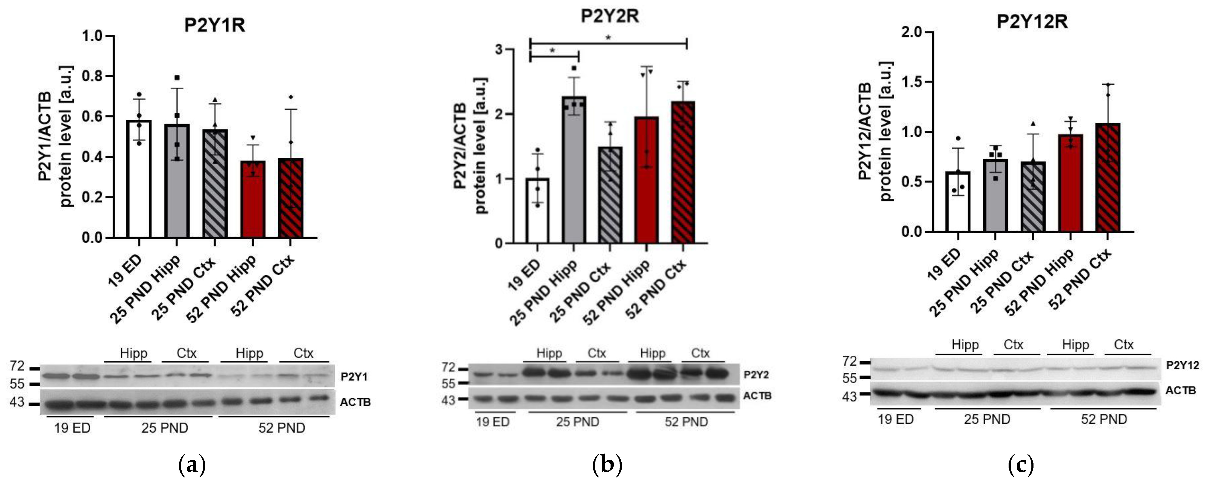 Brainsci 13 01088 g003
