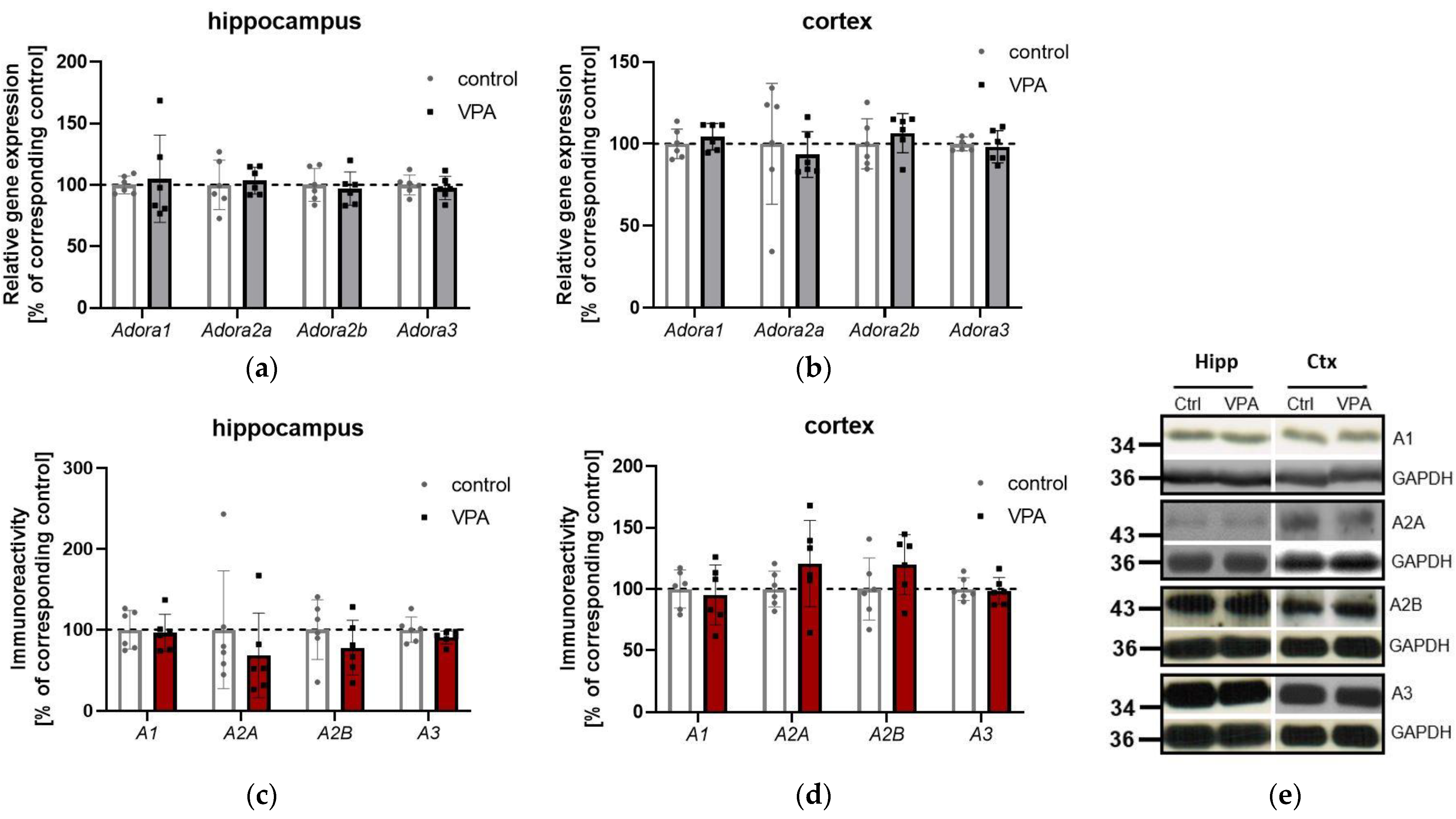Brainsci 13 01088 g004