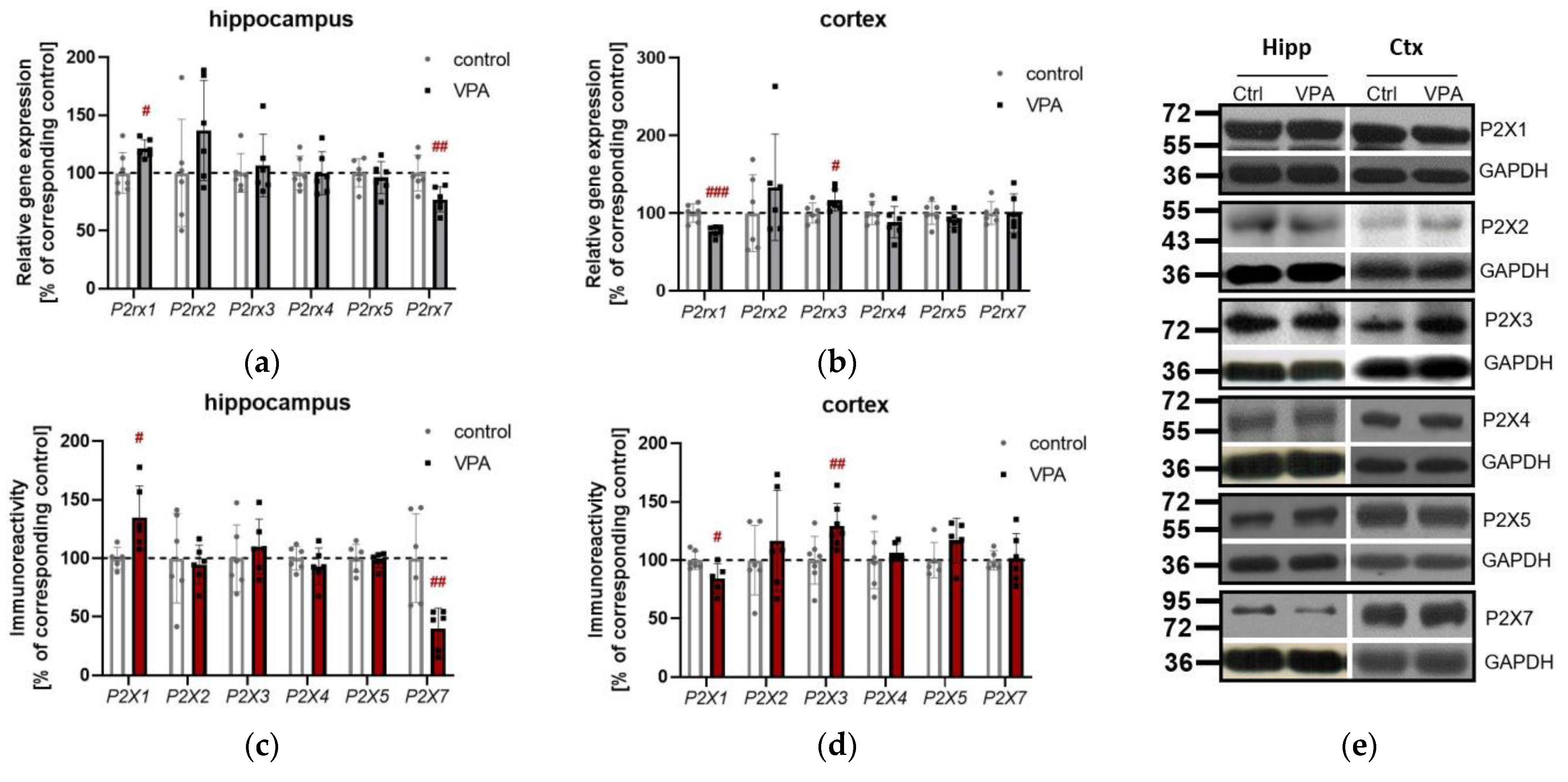 Brainsci 13 01088 g005a