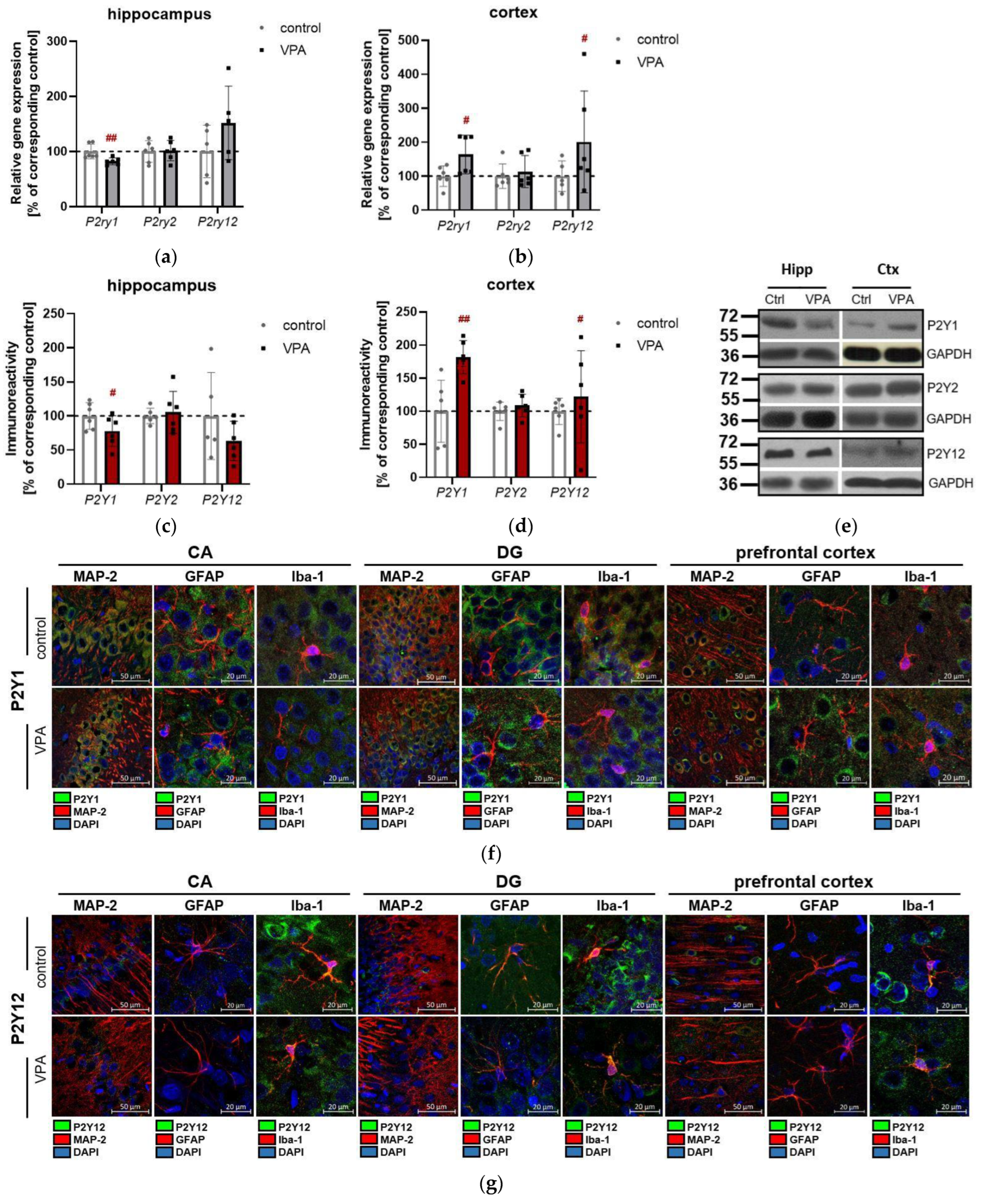 Brainsci 13 01088 g006