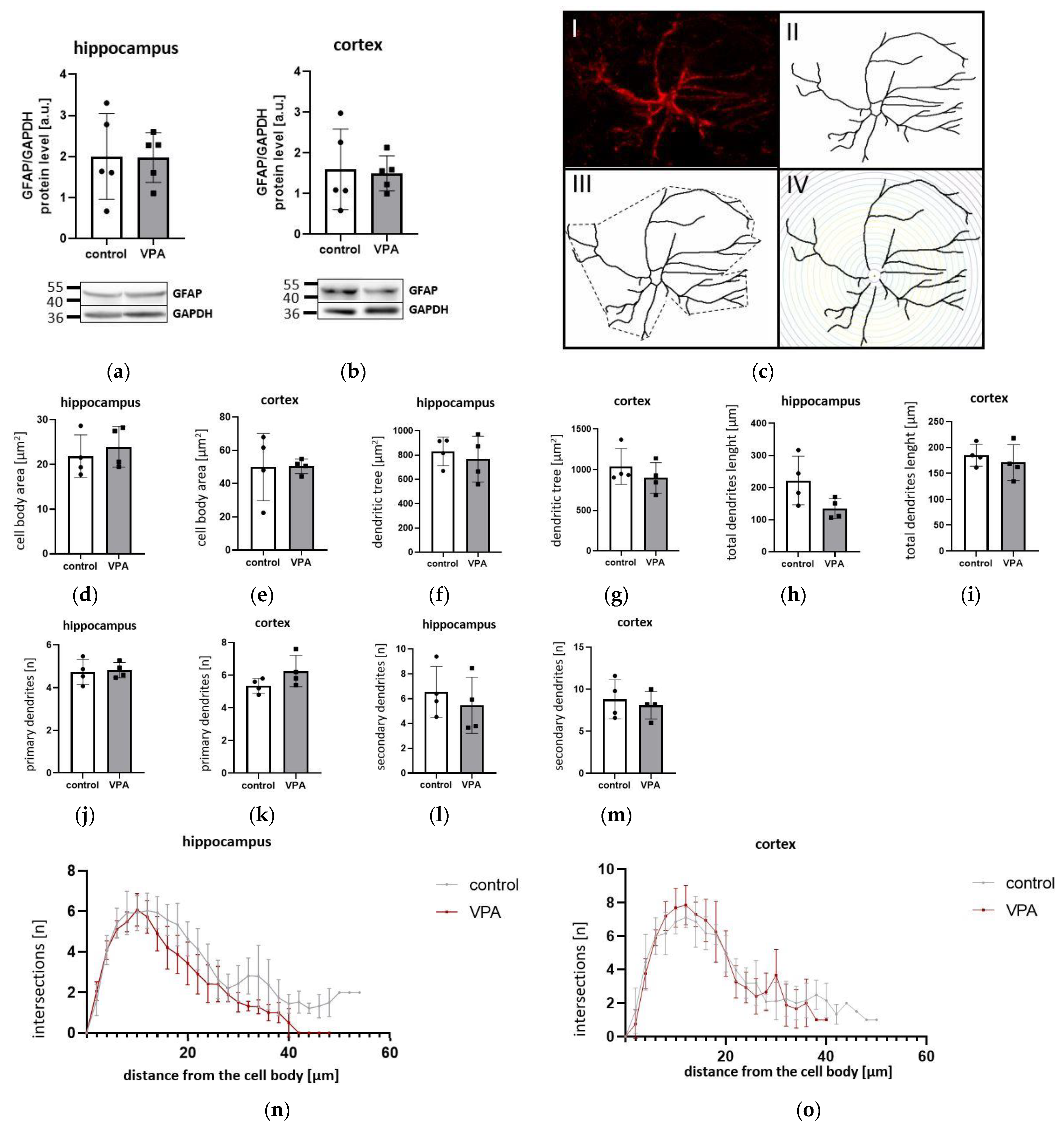 Brainsci 13 01088 g007
