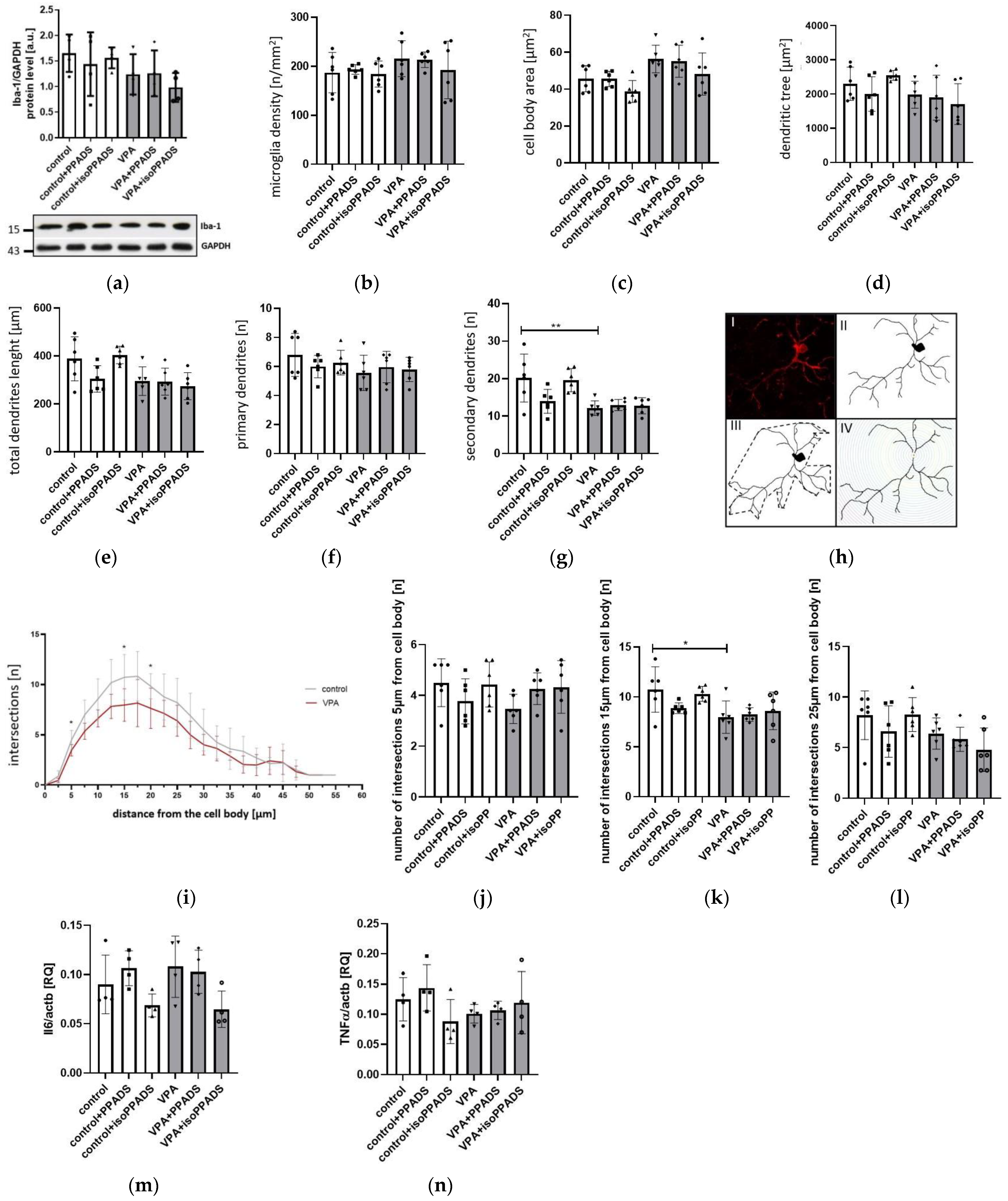 Brainsci 13 01088 g008