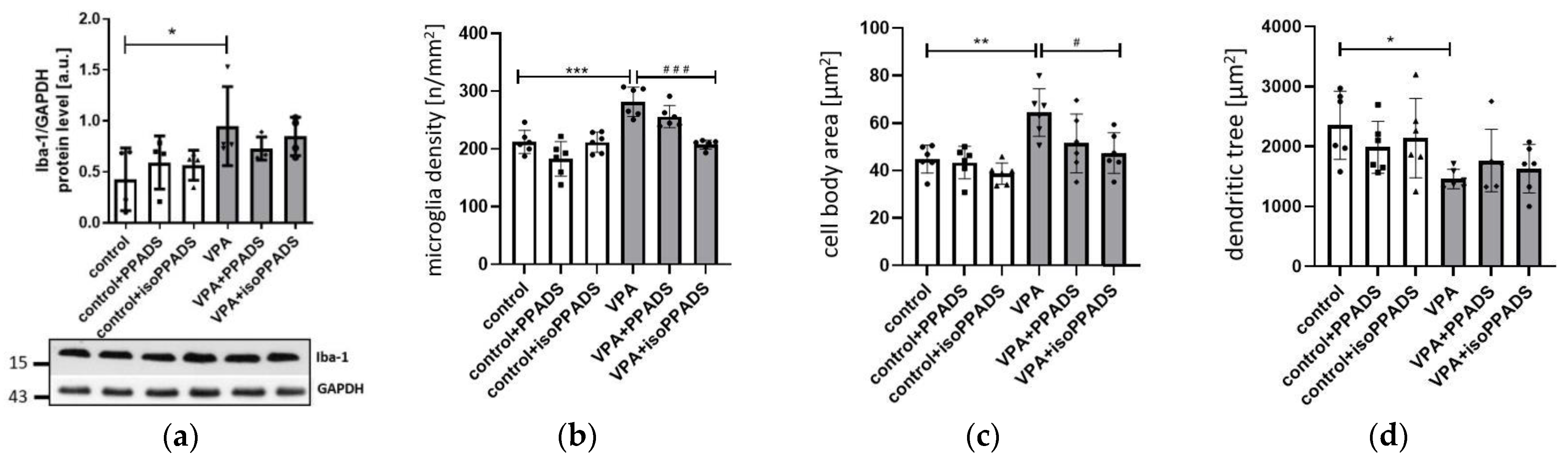 Brainsci 13 01088 g009a