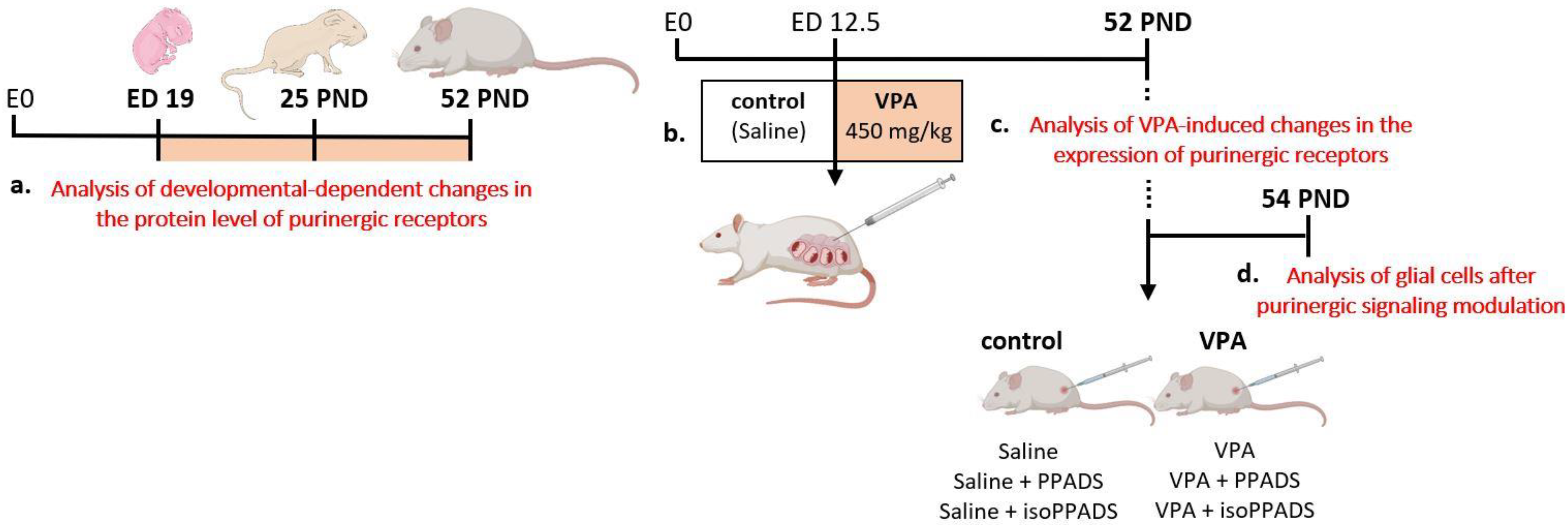 Brainsci 13 01088 sch001