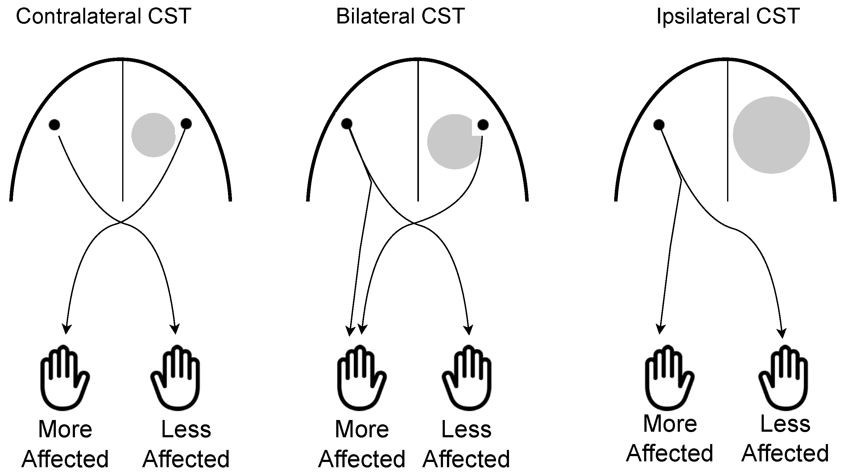 Brainsci 13 01102 g003