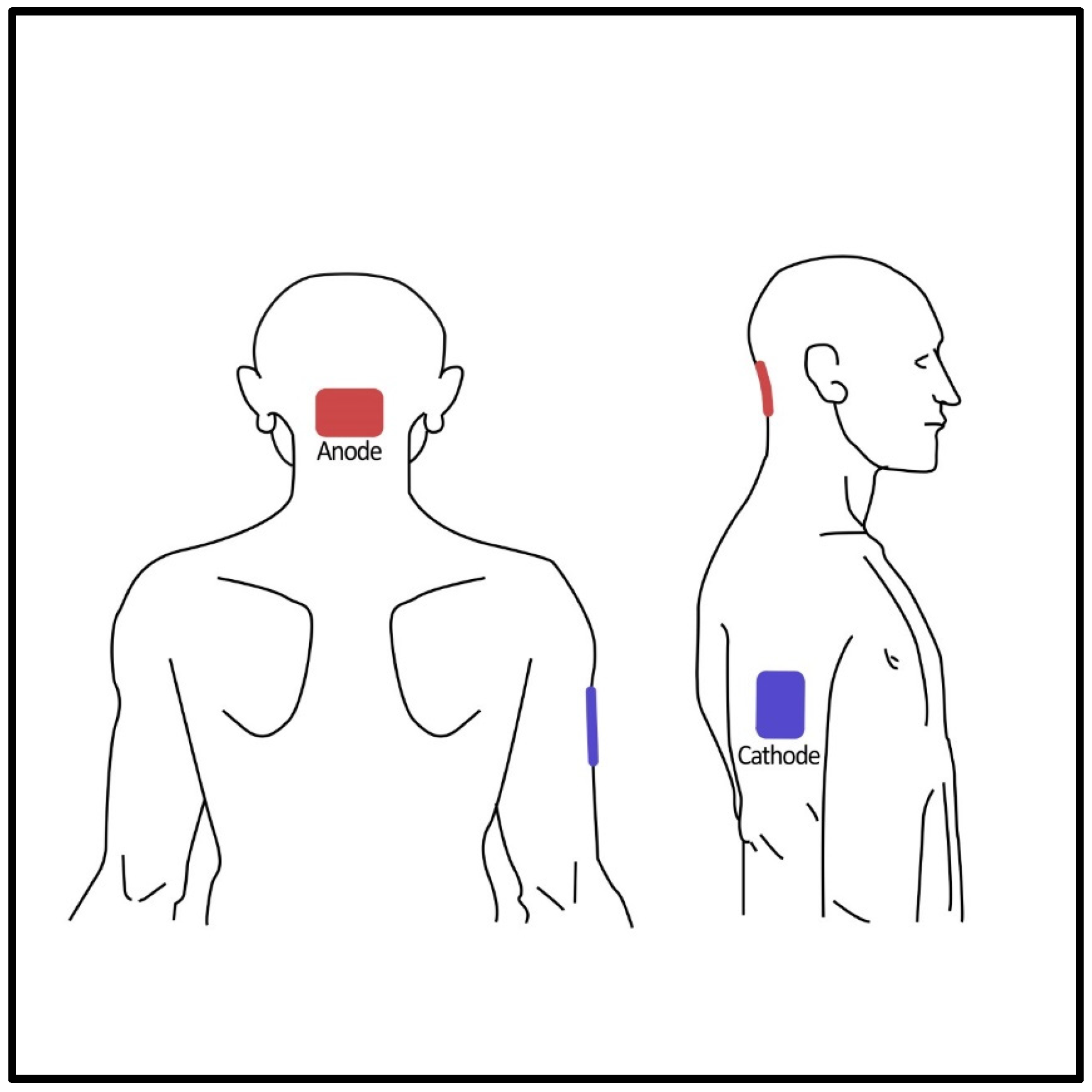 Brainsci 13 01107 g002