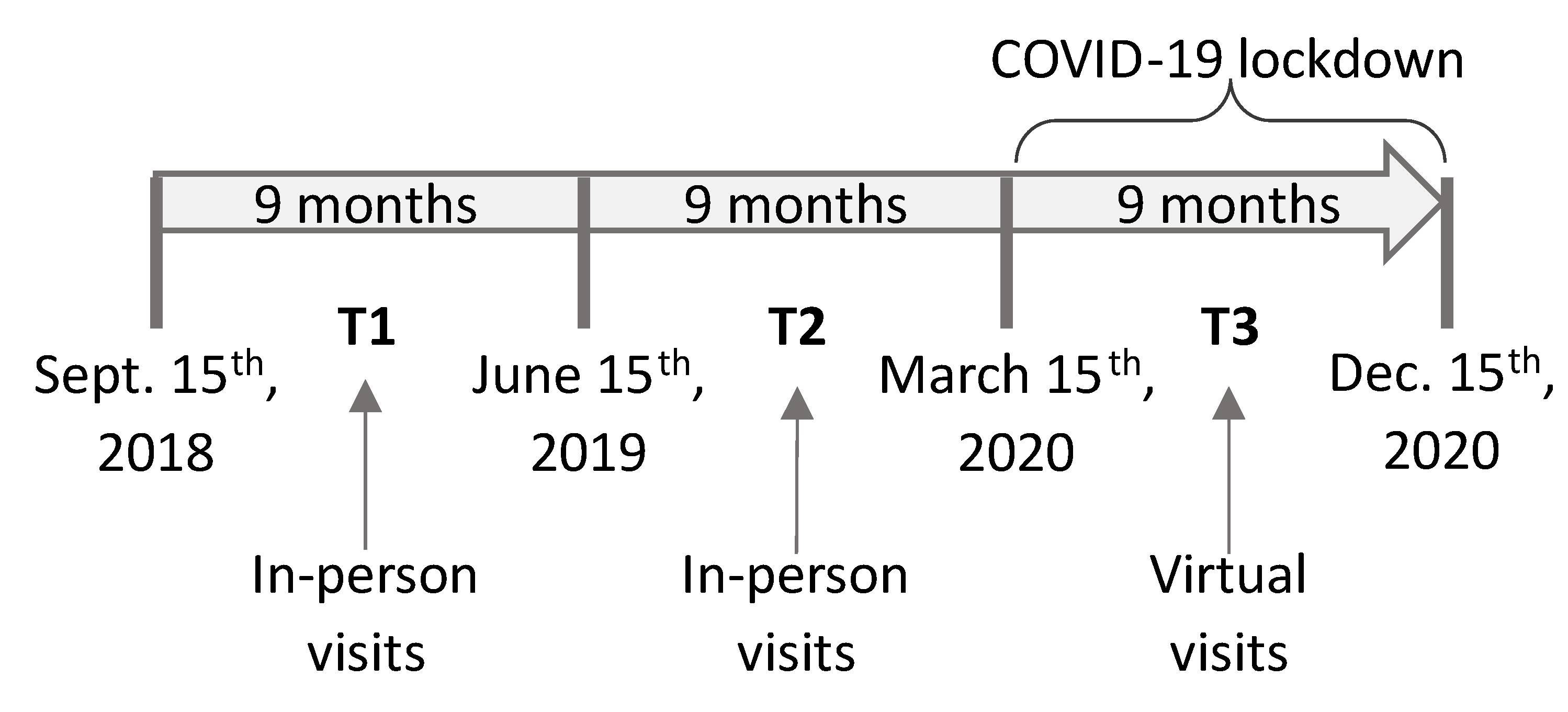 Brainsci 13 01114 g001